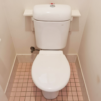 5.3 Toilet repaired.png