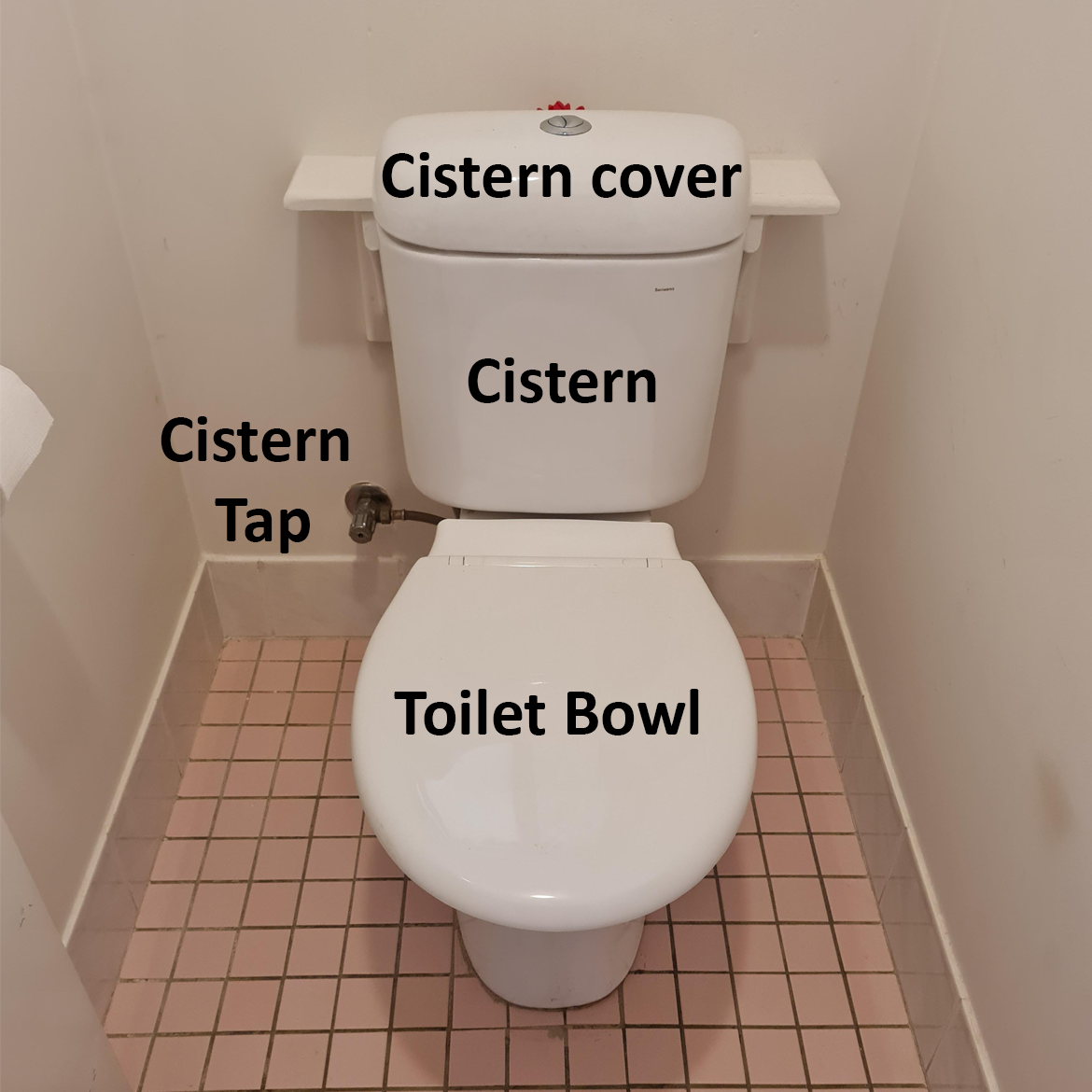 How to fix a leaking toilet Bunnings community