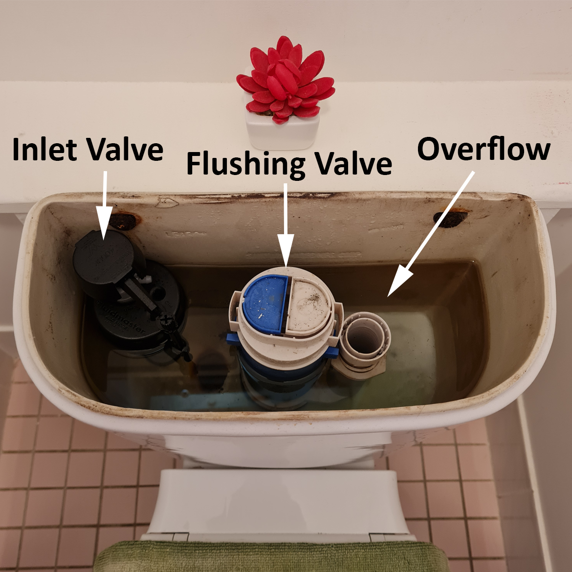 How to fix a leaking toilet Bunnings community