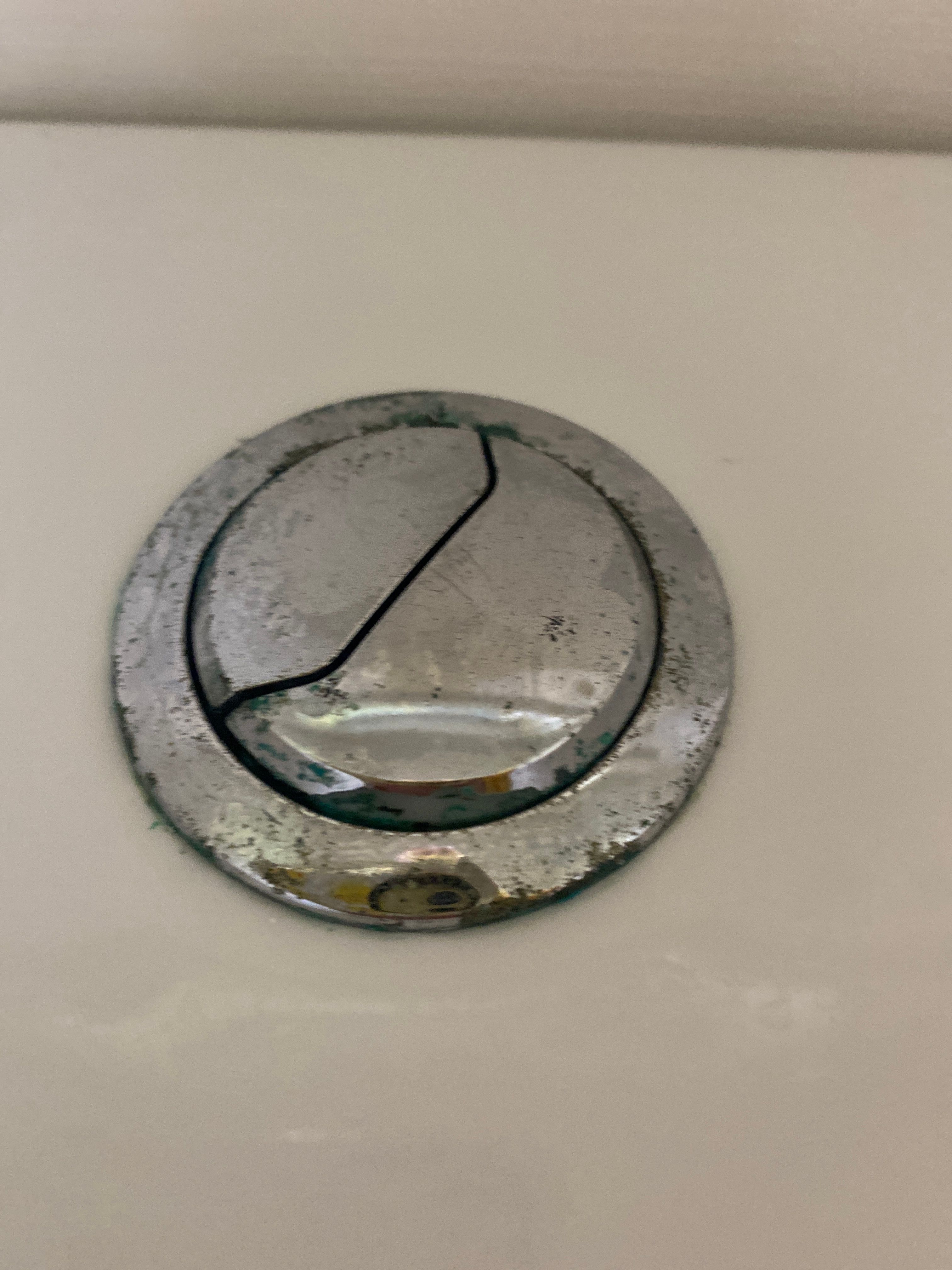 How to replace toilet flush? Bunnings community