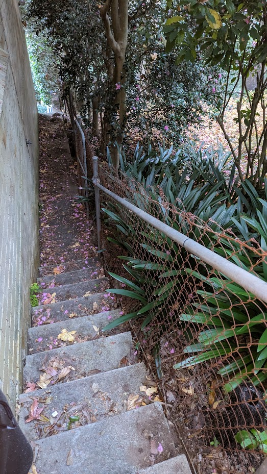 The staircase between our house and neighbour's garden with fence along the border.