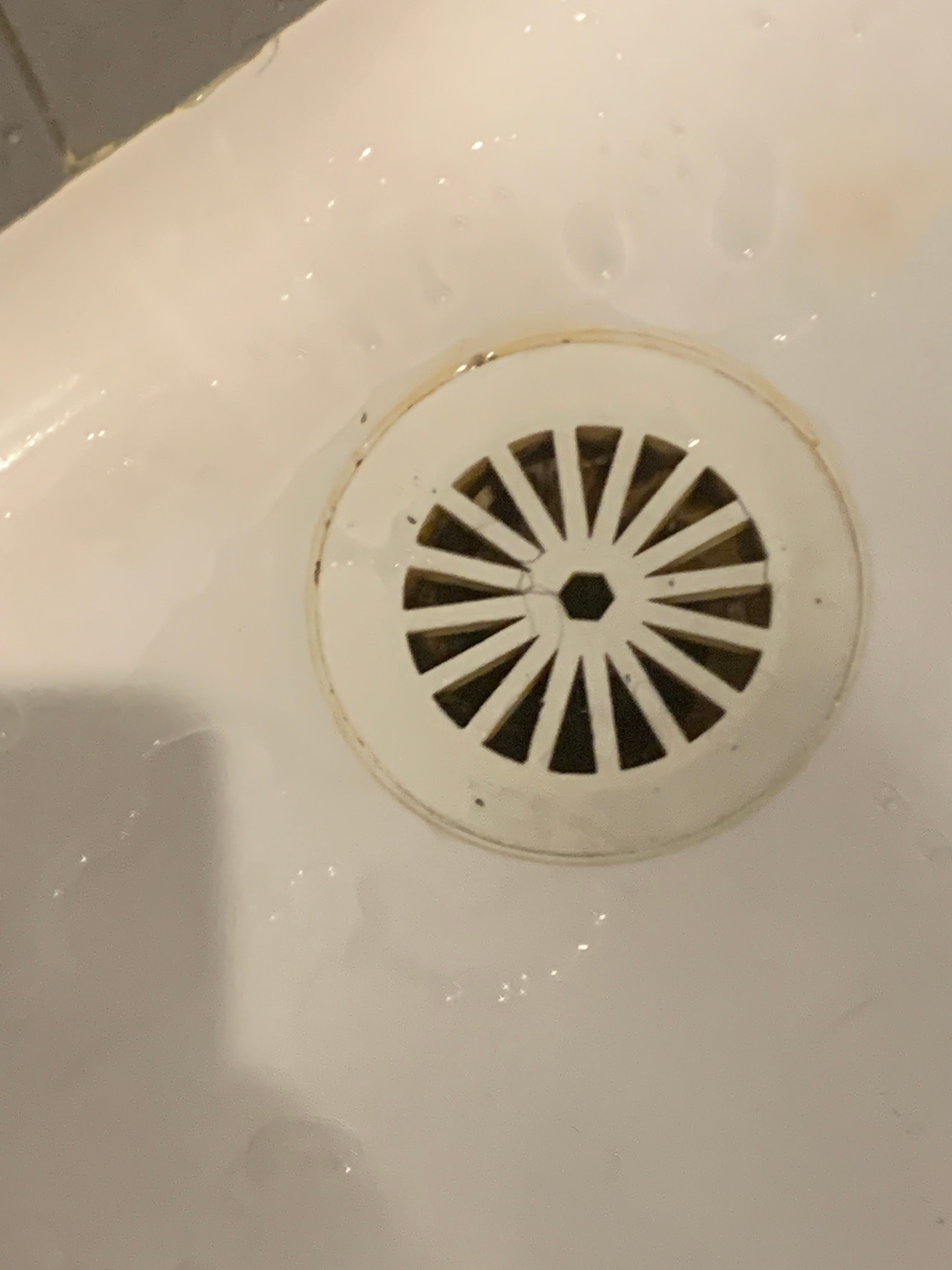 How do I remove this shower drain? Bunnings community