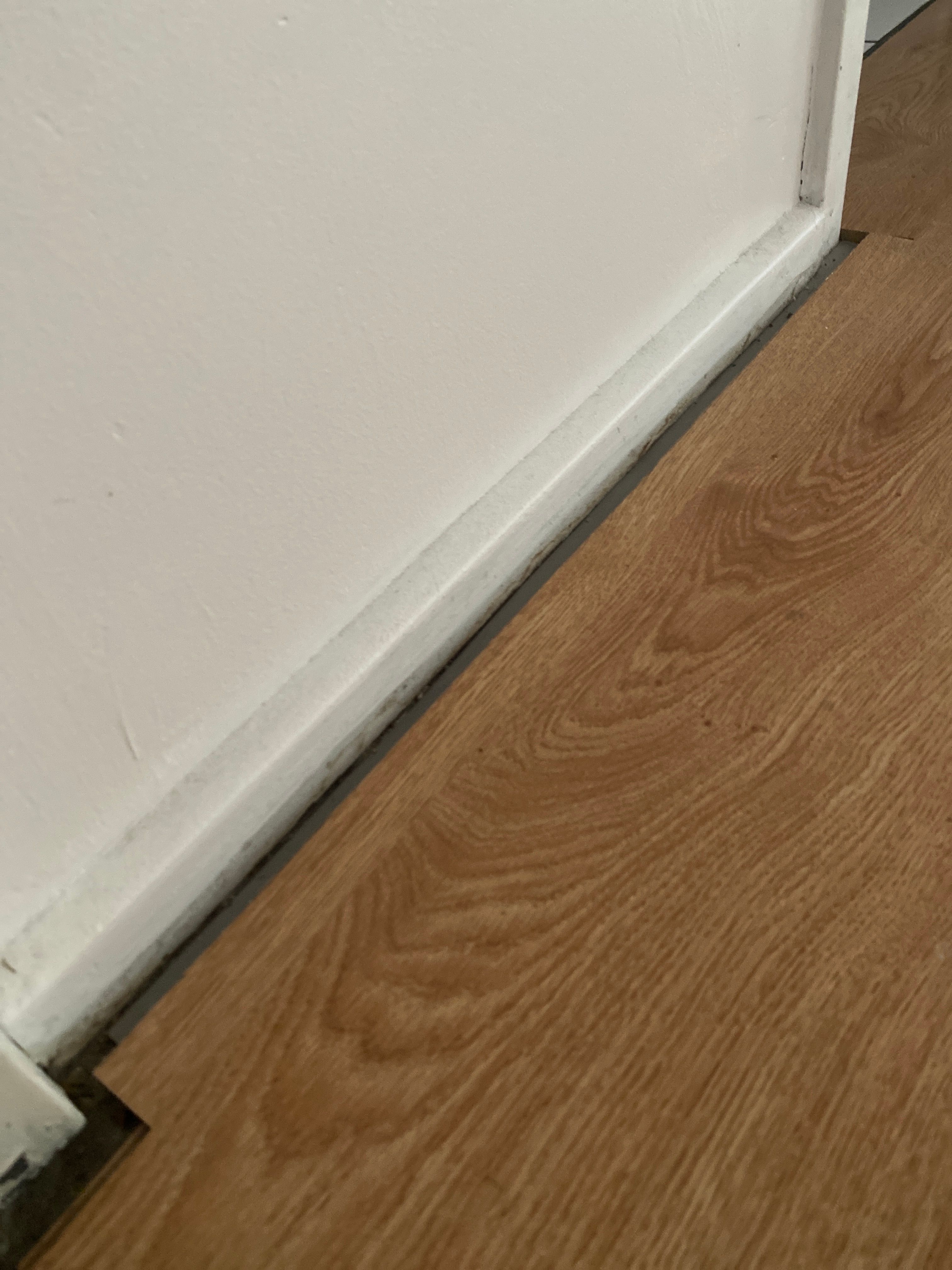 How to fix gap between floor and wall? Bunnings community