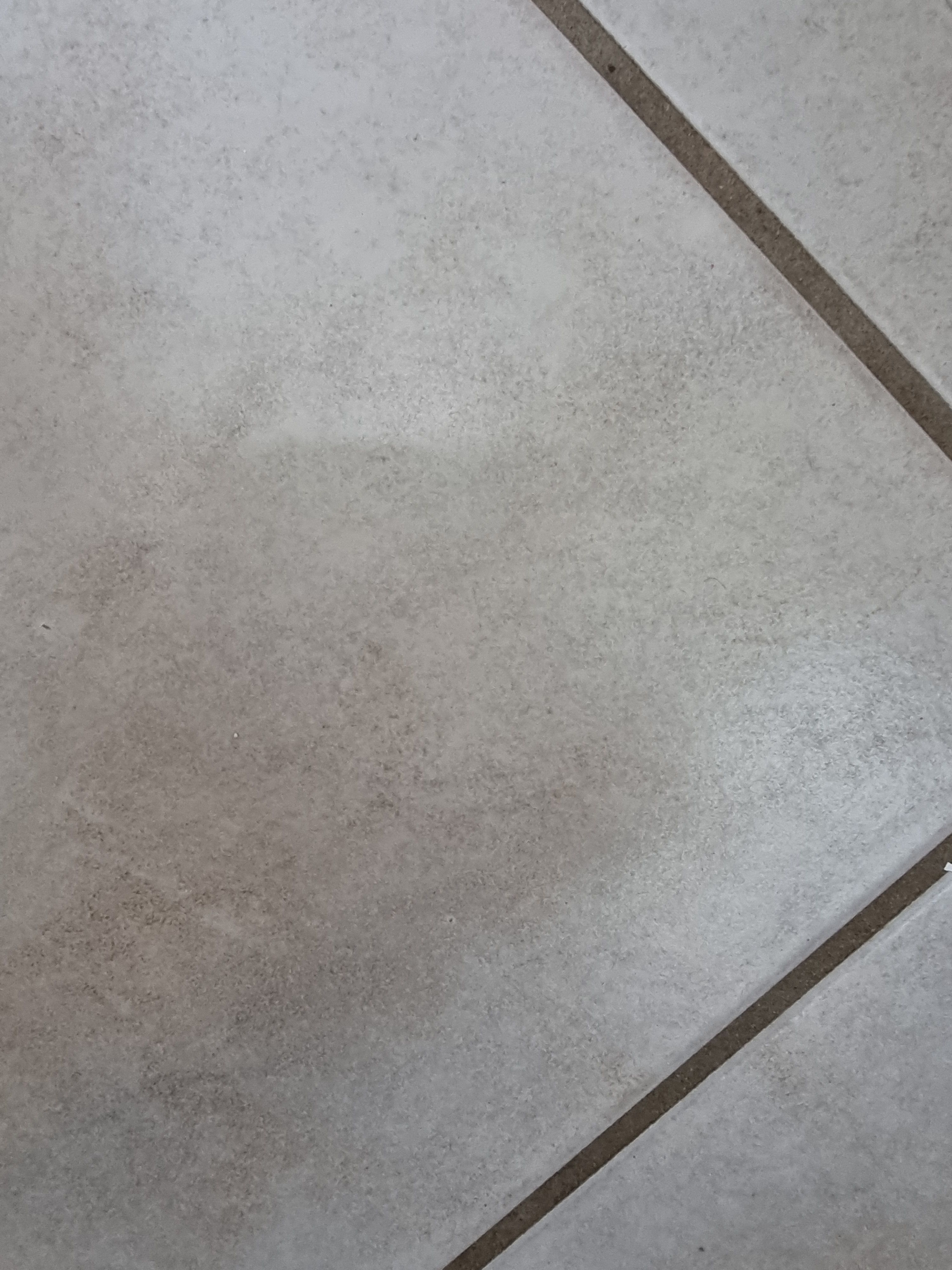 How to paint over gloss tiles? Bunnings community