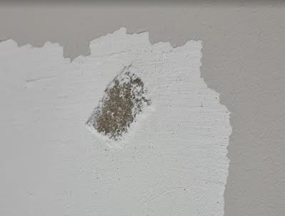 How to paint a wall with flaking paint? Bunnings community