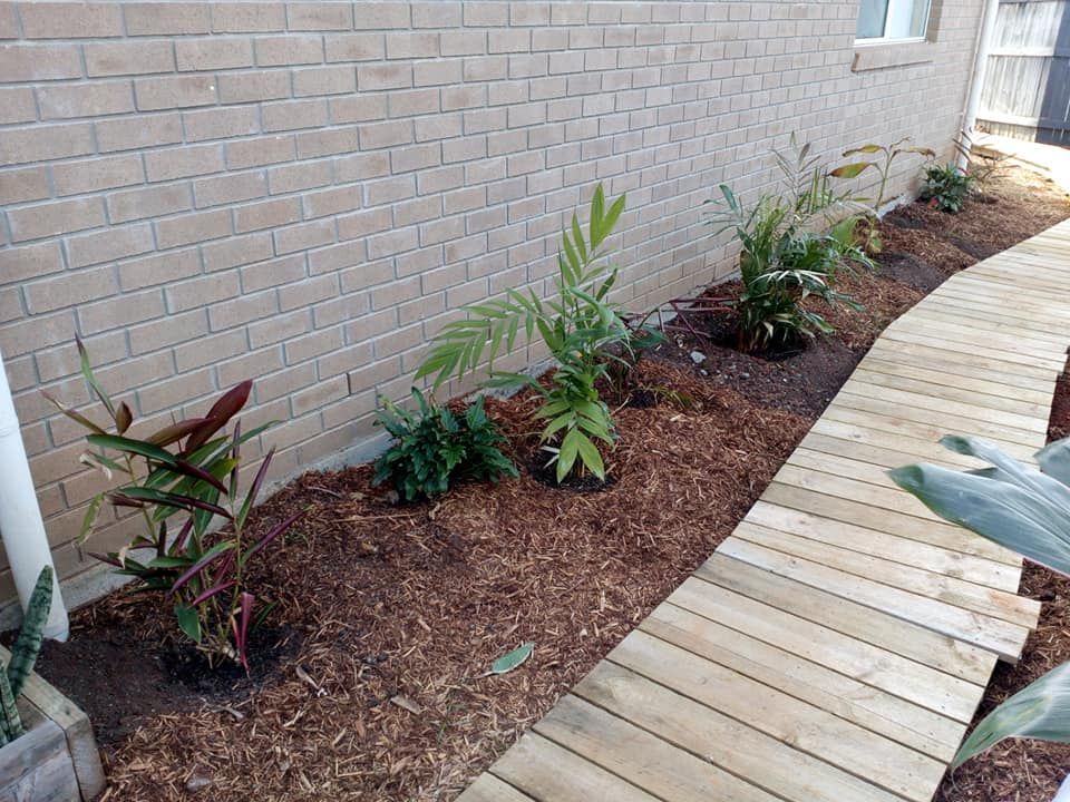 native & exotic gingers , small palms, Philodendron "Xanadu"