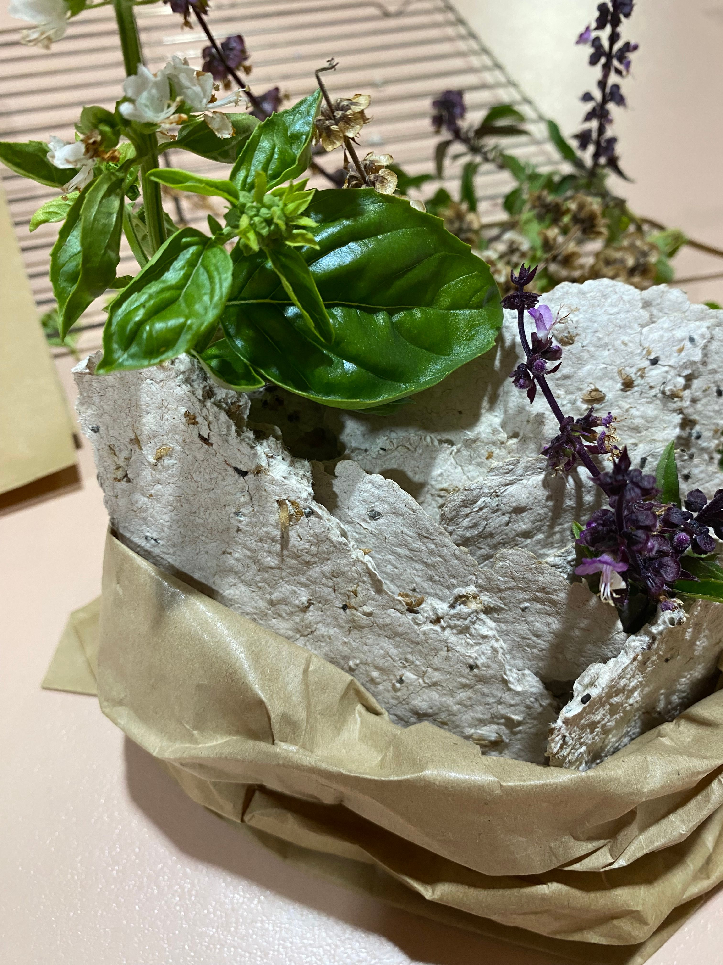 How to make plantable seed paper Bunnings community