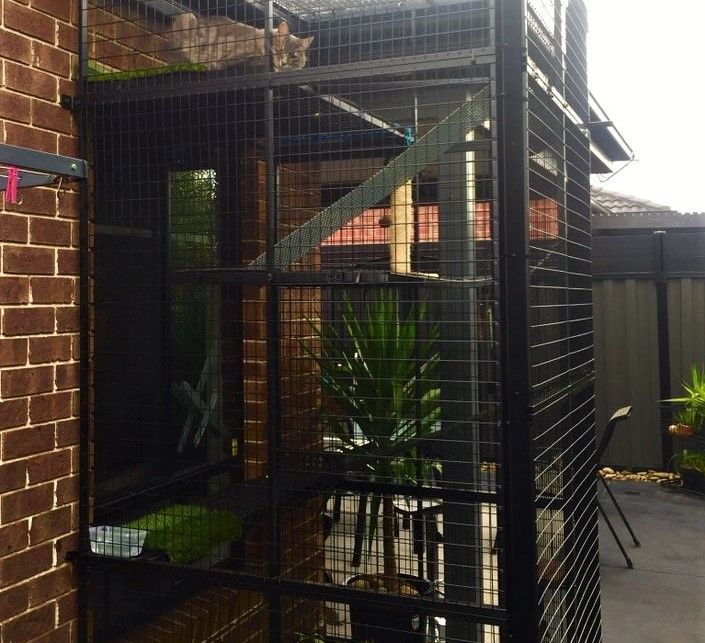 10 ways to make your home petfriendly Bunnings community