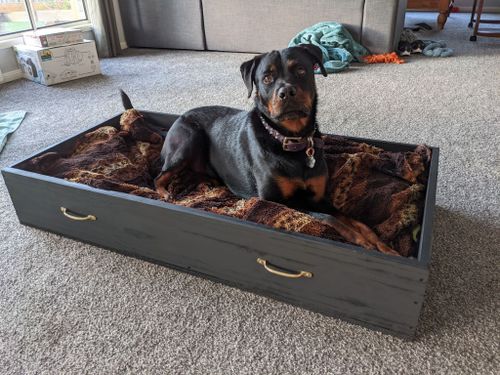 D.I.Y. slide-out dog bed.jpg