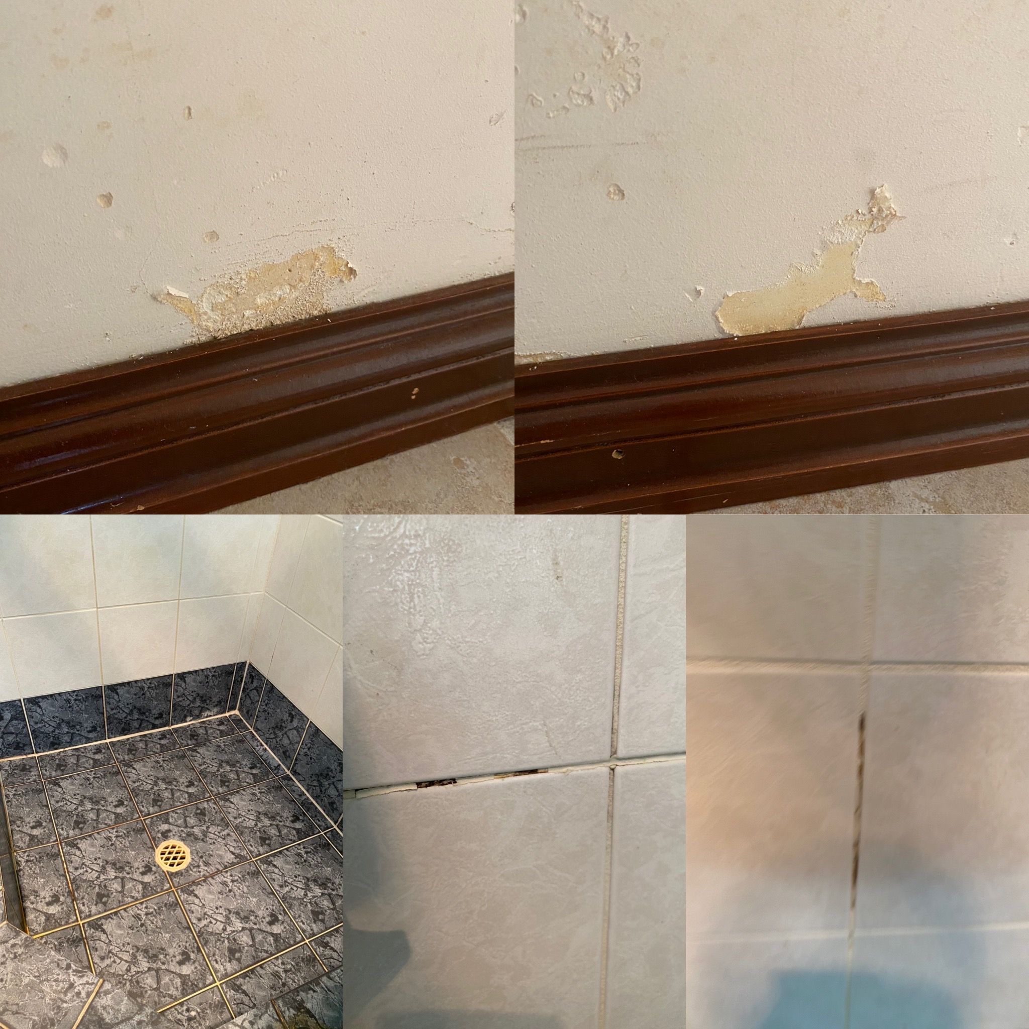 Solved How can we regrout our shower? Bunnings community