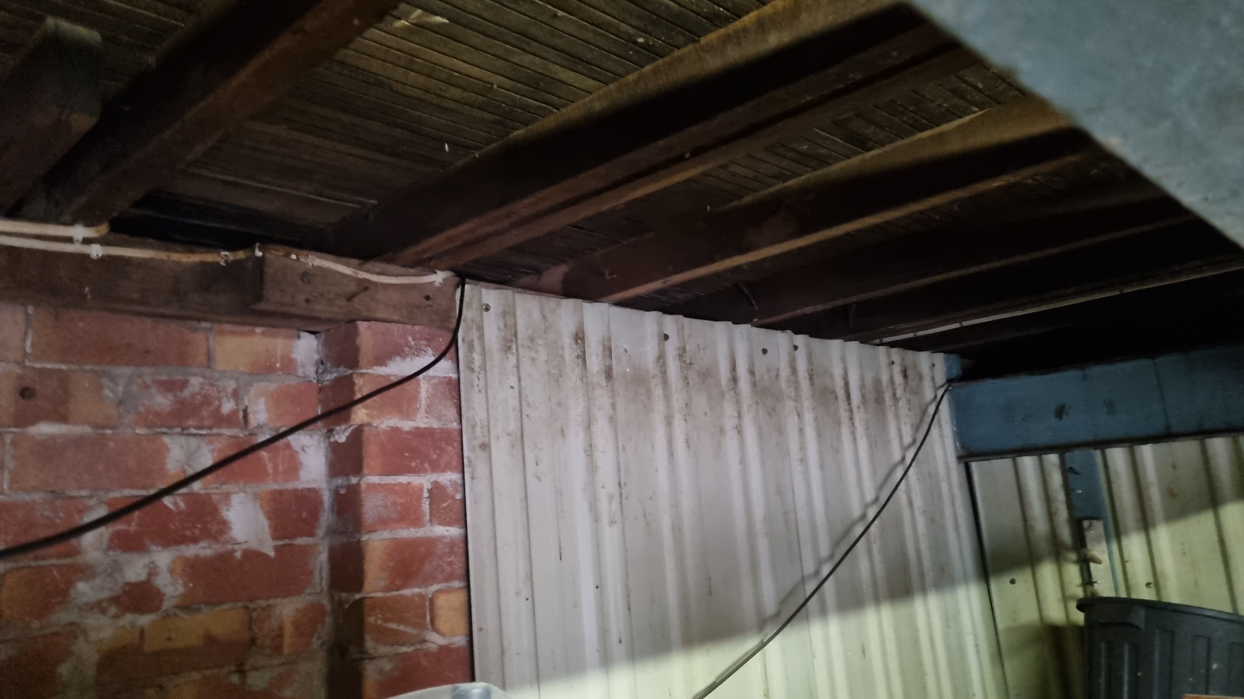 Any ideas for possum proofing the garage... Bunnings community