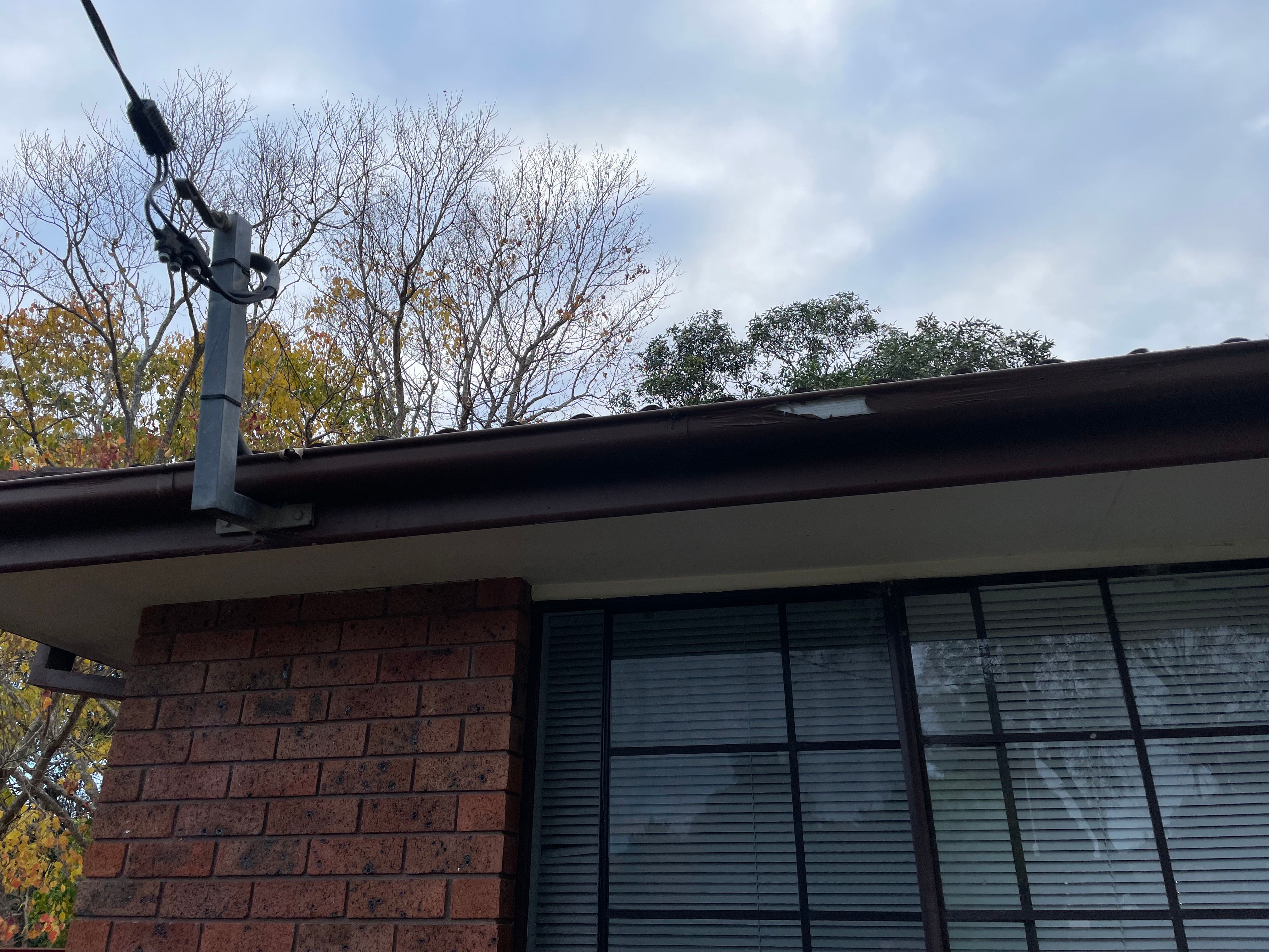 How to paint gutters? Bunnings community