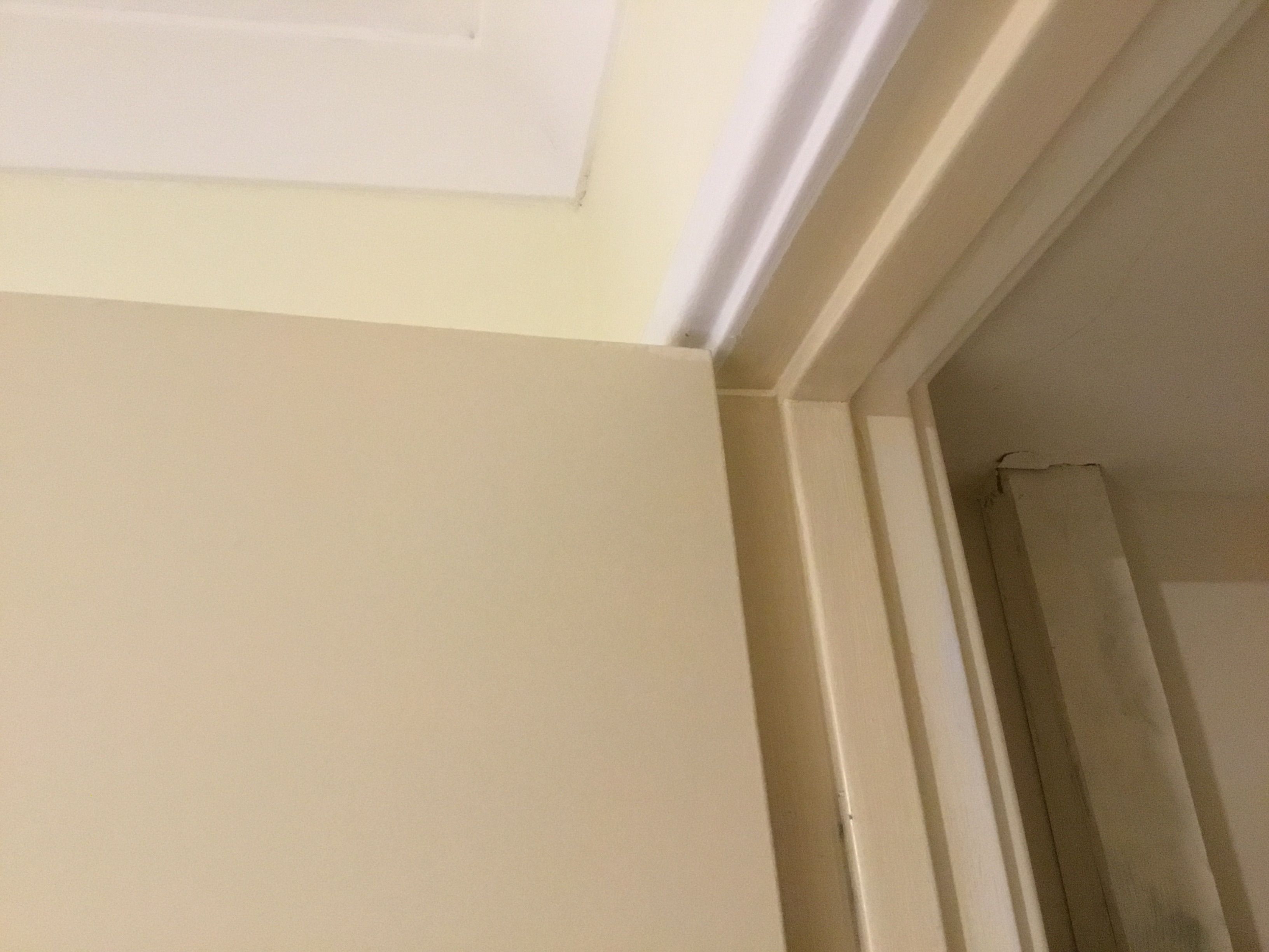 How to remove old wardrobe steel frames? Bunnings community