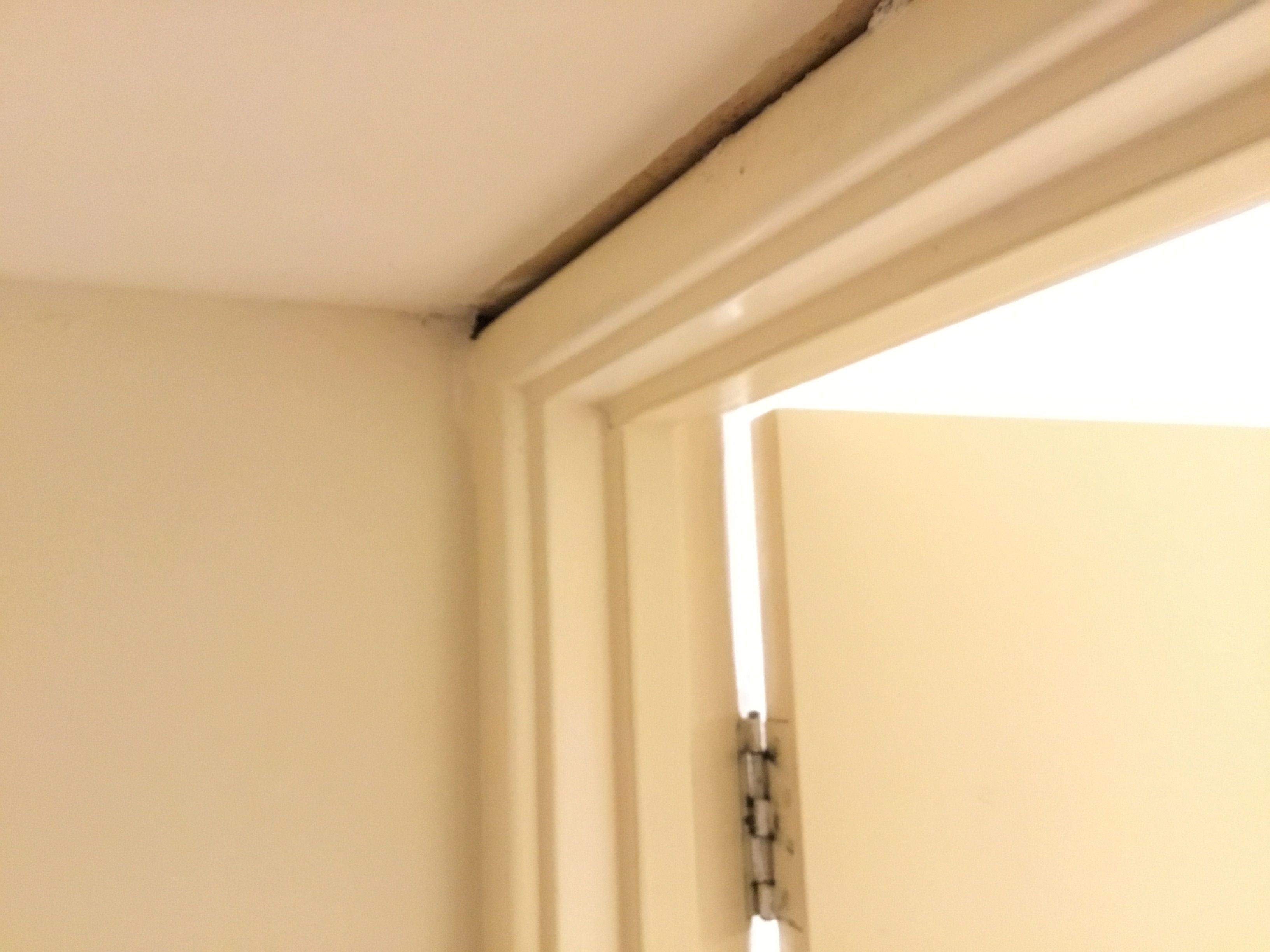 How to remove old wardrobe steel frames? Bunnings community