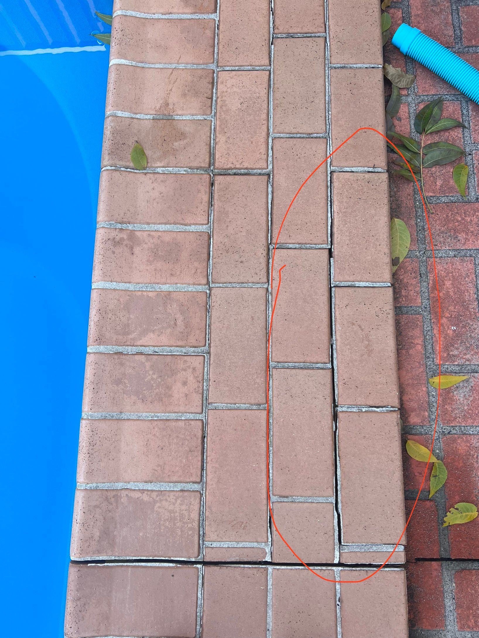 How to repair loose swimming pool pavers... Bunnings community