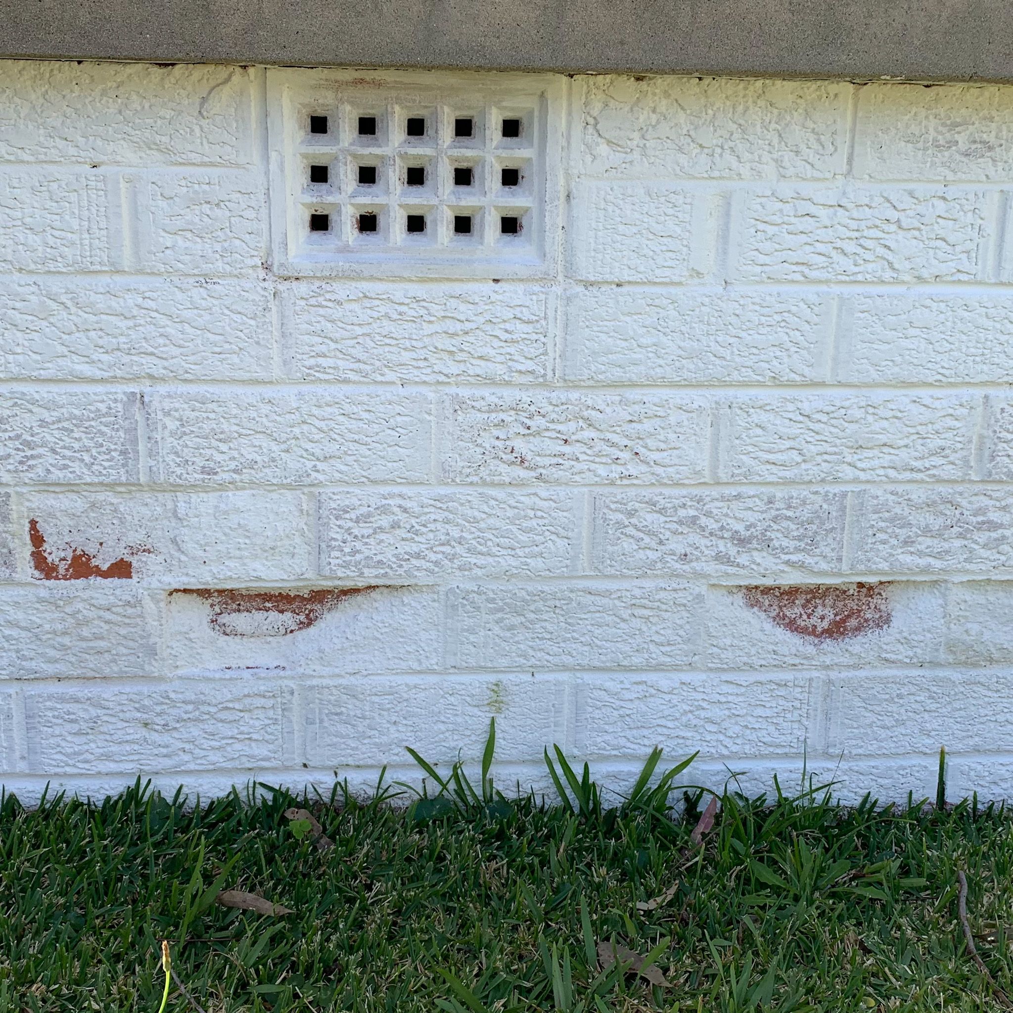 How to stop bricks from crumbling? Bunnings community