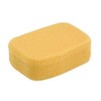 Sponge1.jpg