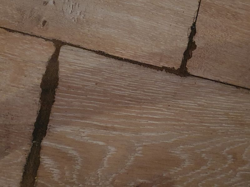 How to replace floating floor boards? Bunnings community