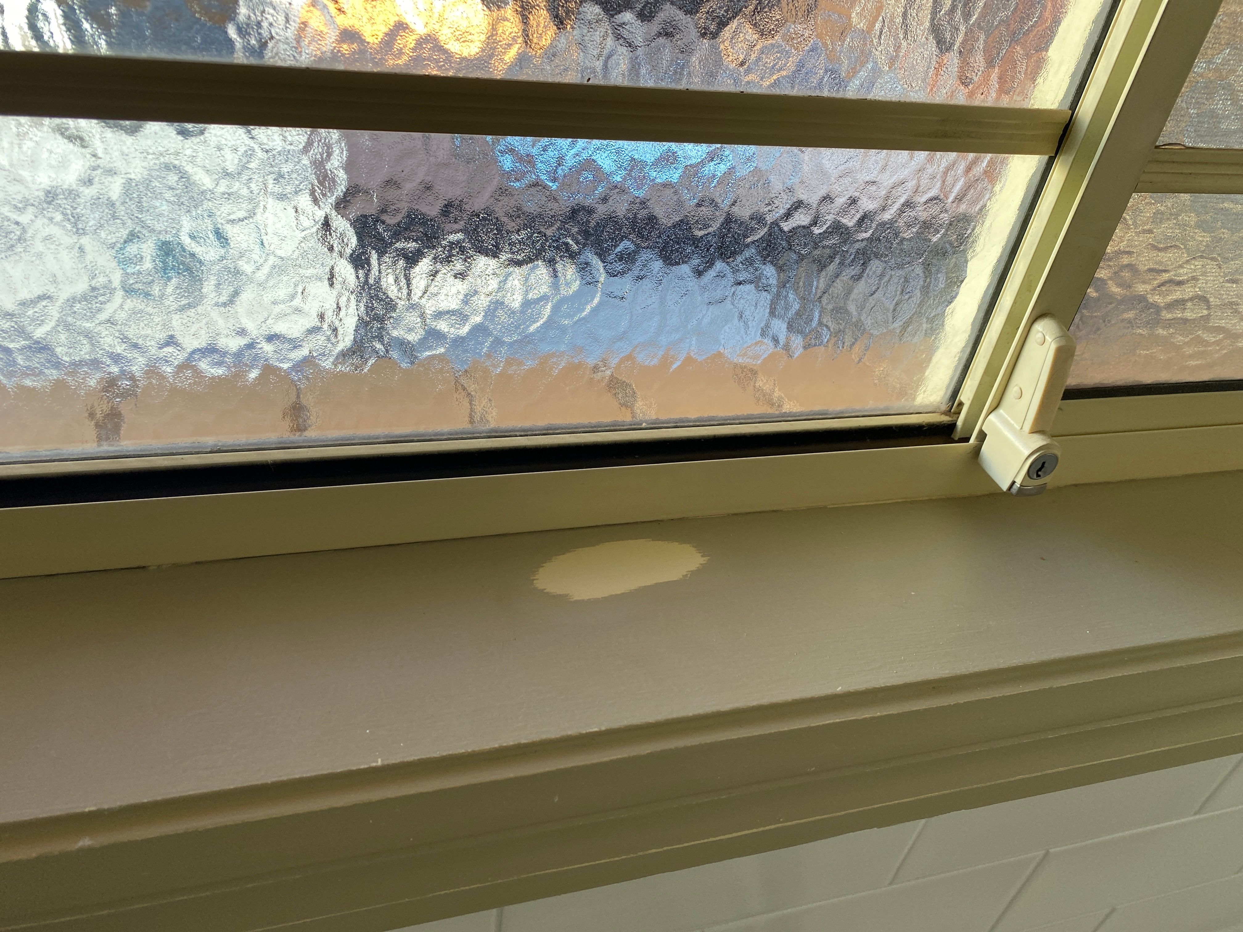 What primer for mixed water and oilbase... Bunnings community