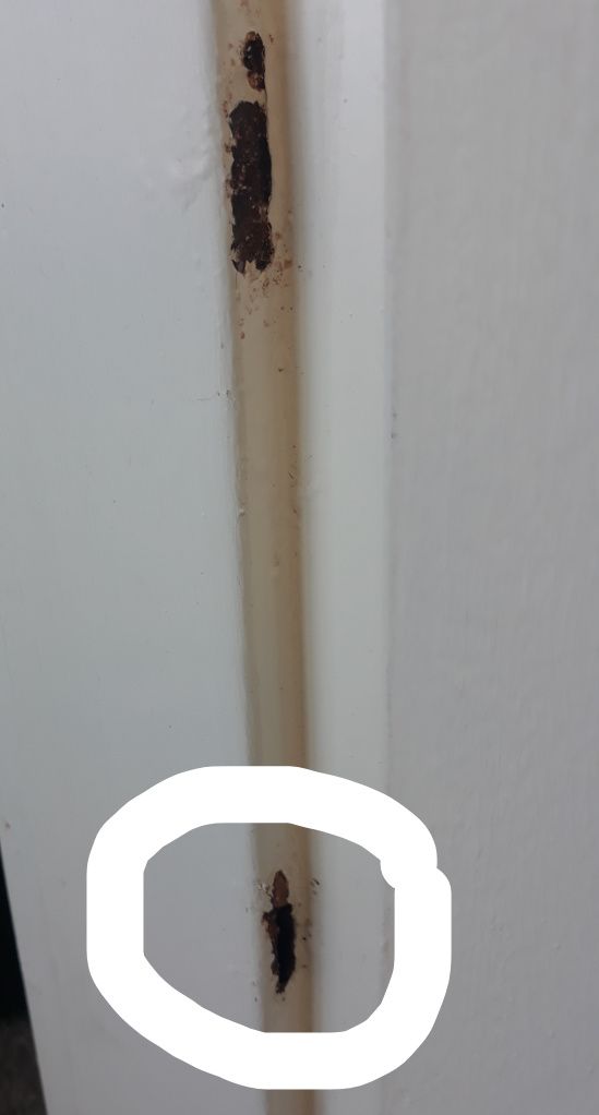 How to paint rusty metal door frames? Bunnings community