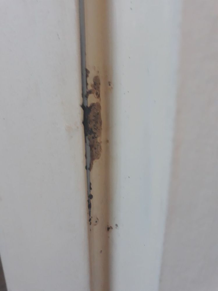 20230623_sanded enough_.jpg