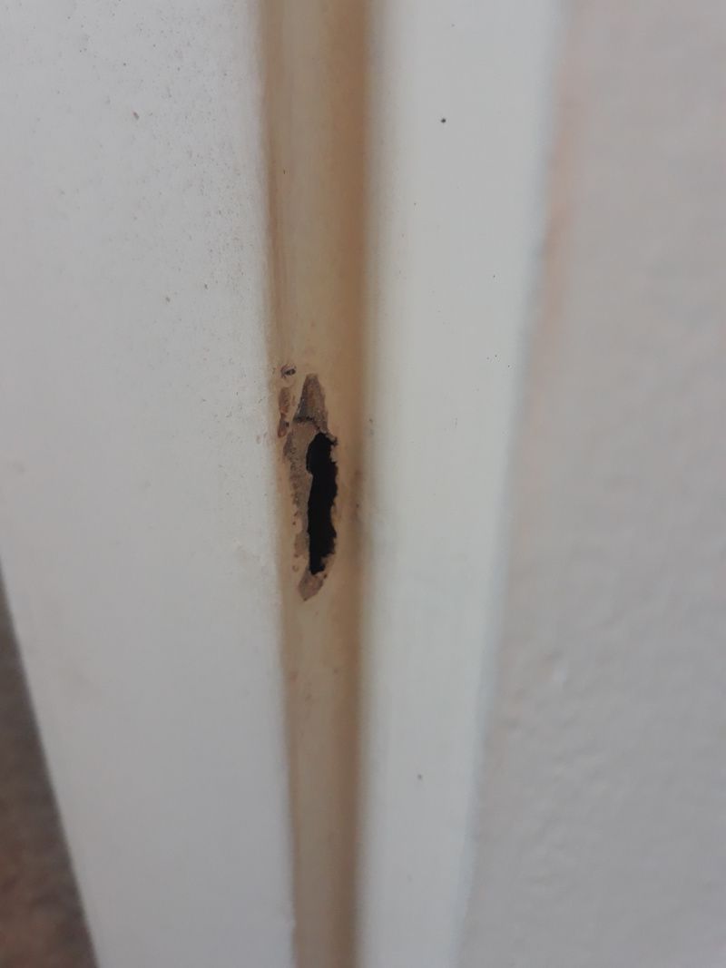 How to paint rusty metal door frames? Bunnings community