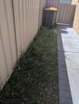 Yard Before.jpg