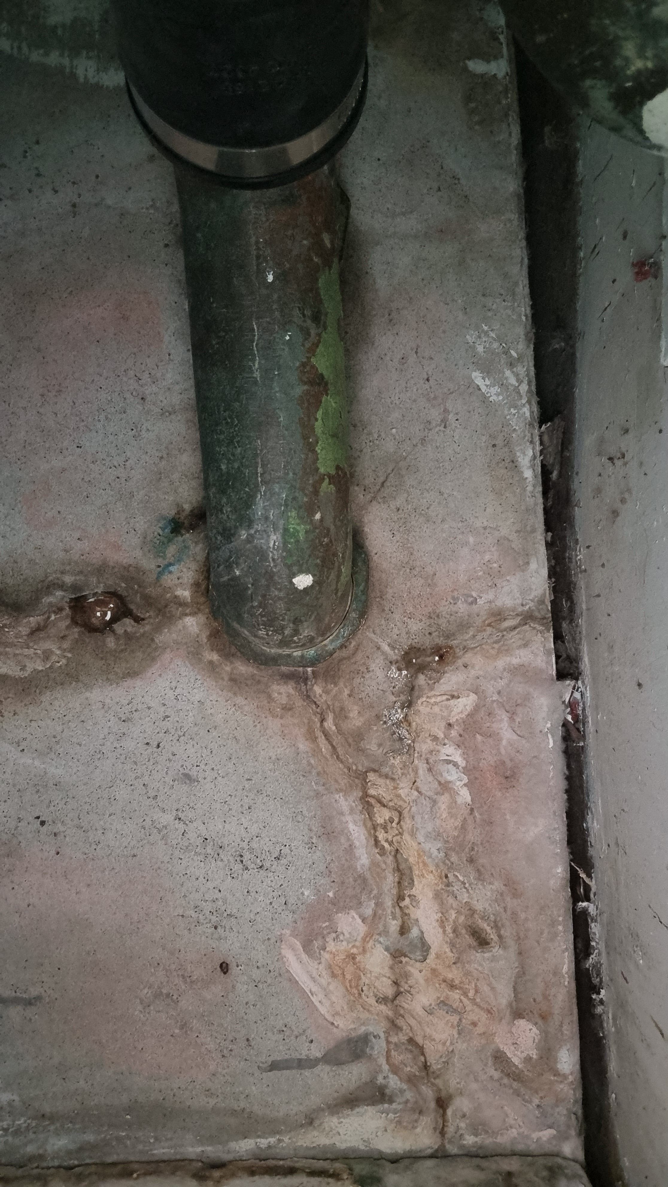 How to repair cracked concrete laundry t... Bunnings community