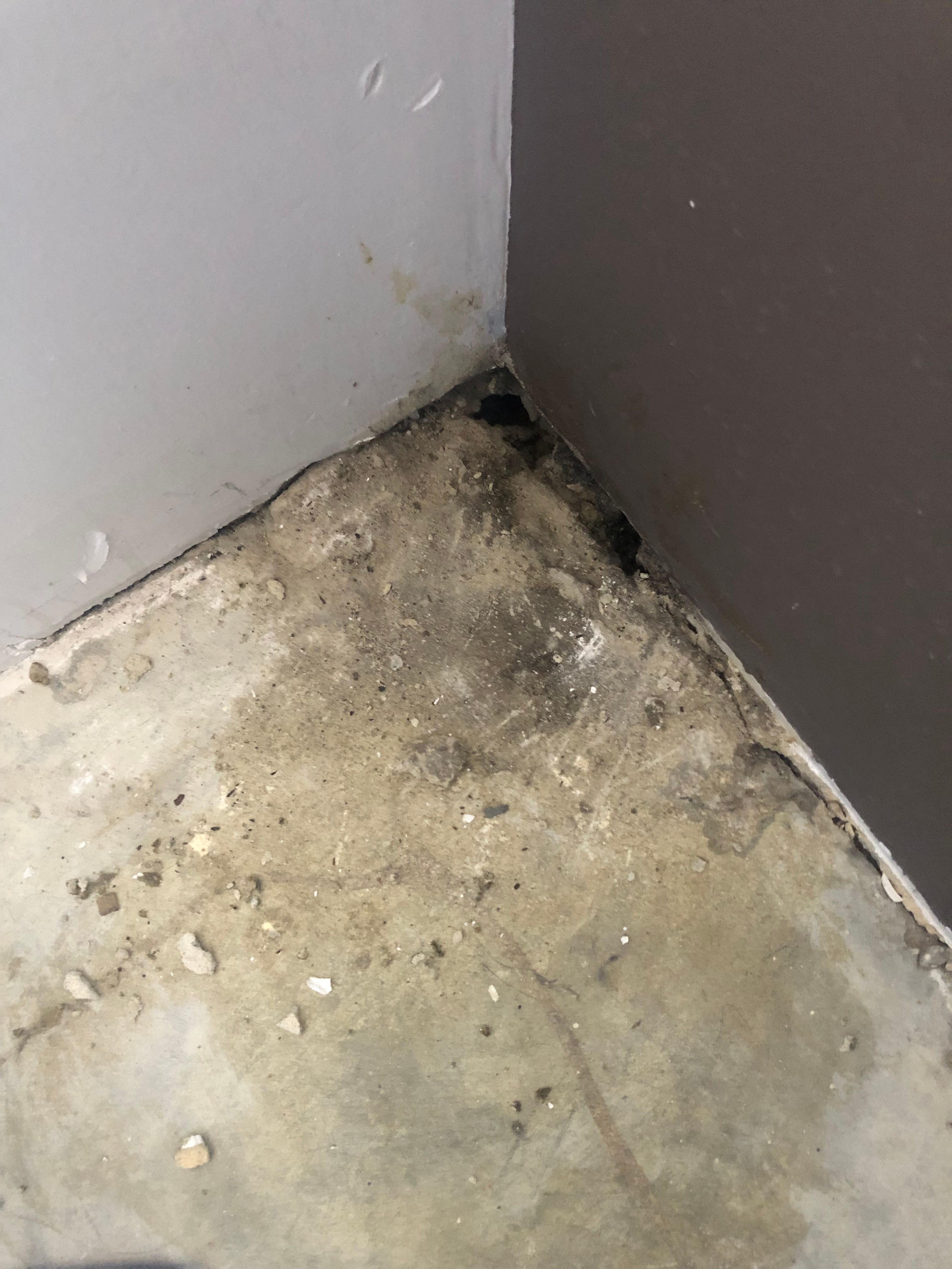 How to fix hole in concrete floor? Bunnings community