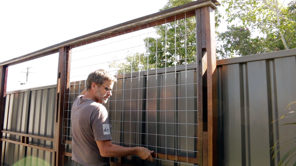 Recycled hardwood and trellis fence with... Bunnings community