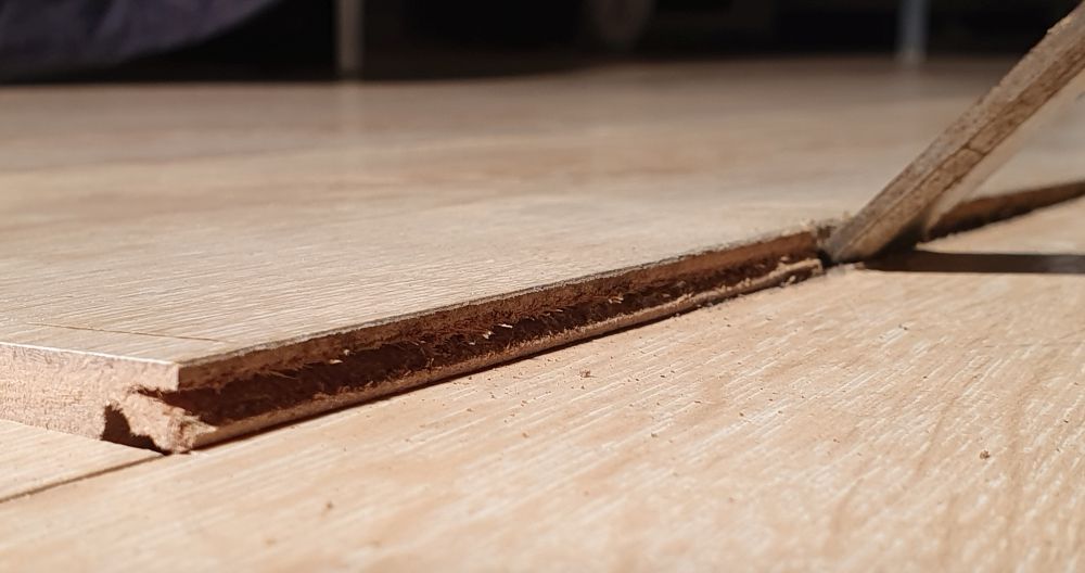 How to replace floating floor boards? Bunnings community