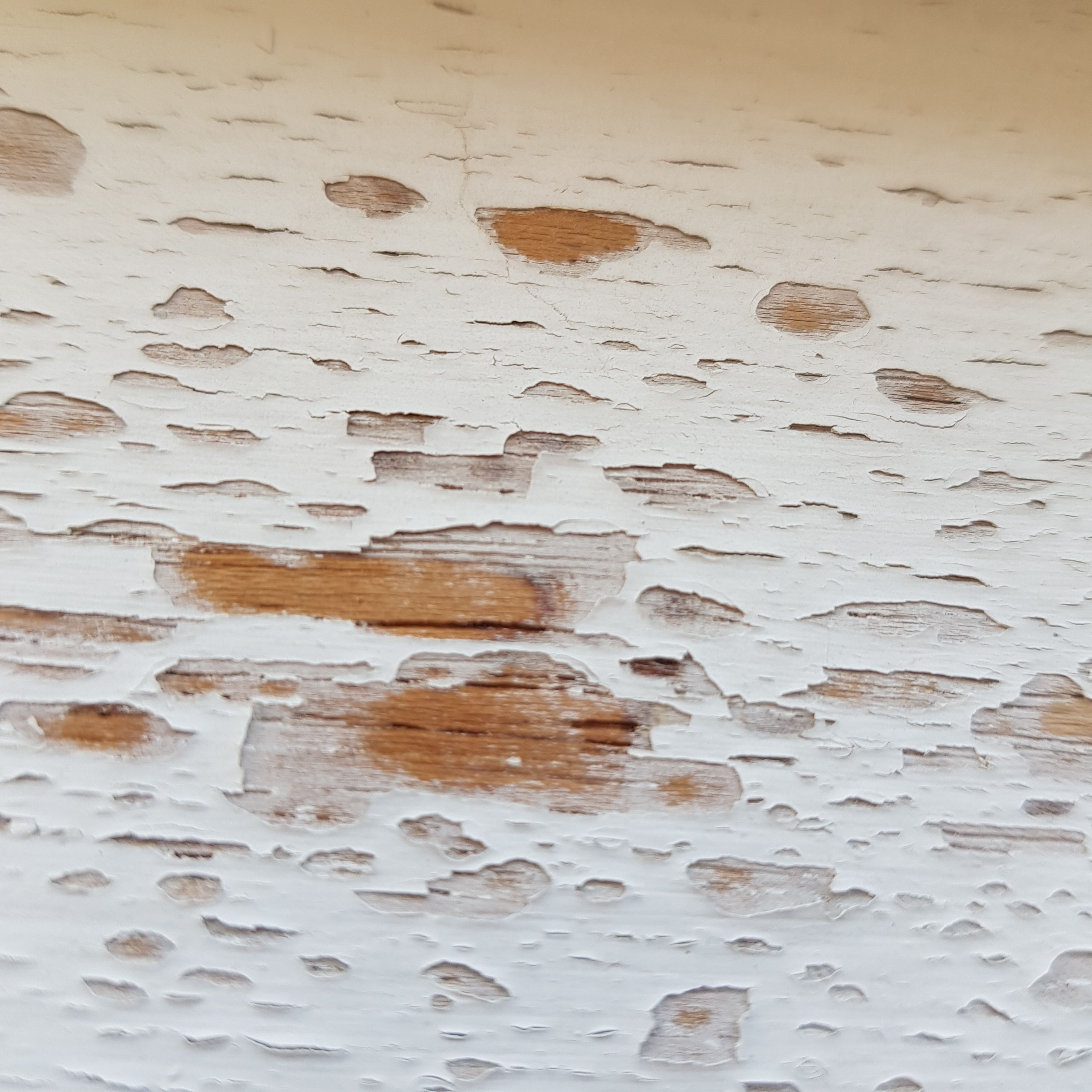 How to fix peeling paint on window sill? Bunnings community