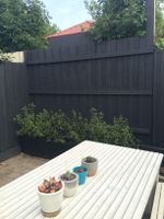 Courtyard fence makeover