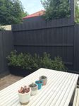 Courtyard fence makeover