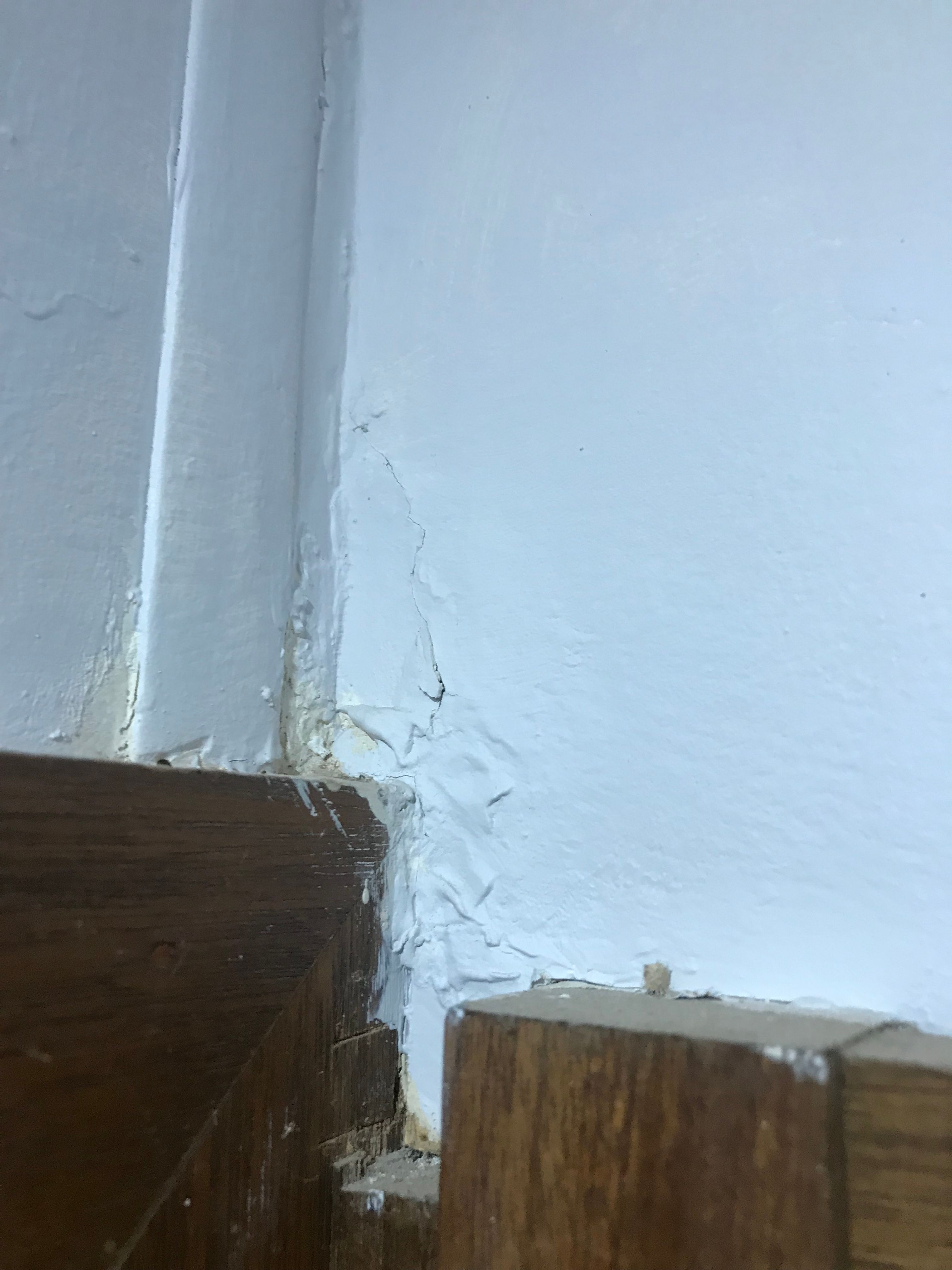 Help with plaster | Bunnings Workshop community