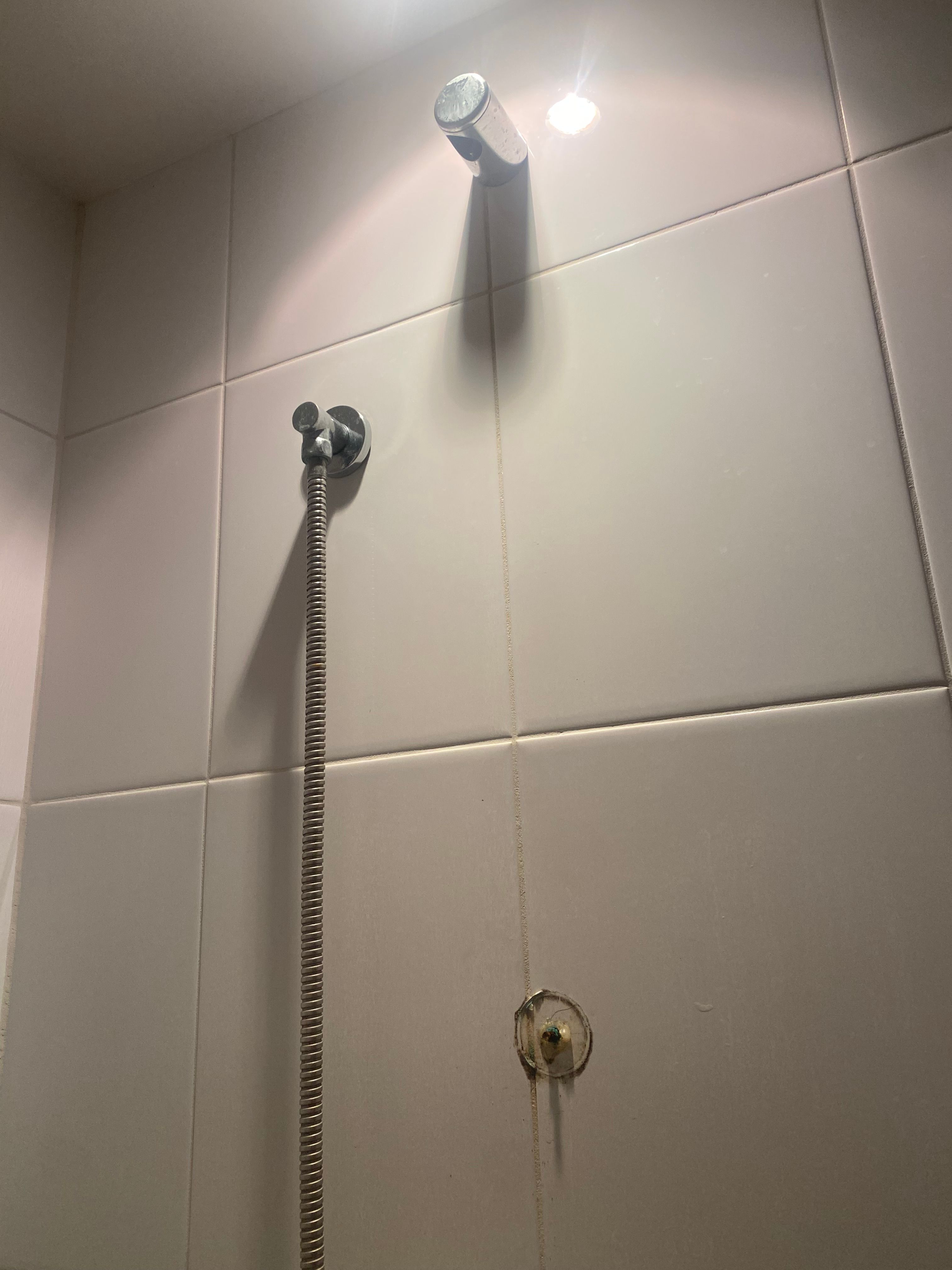 How to repair a shower head rail? Bunnings community
