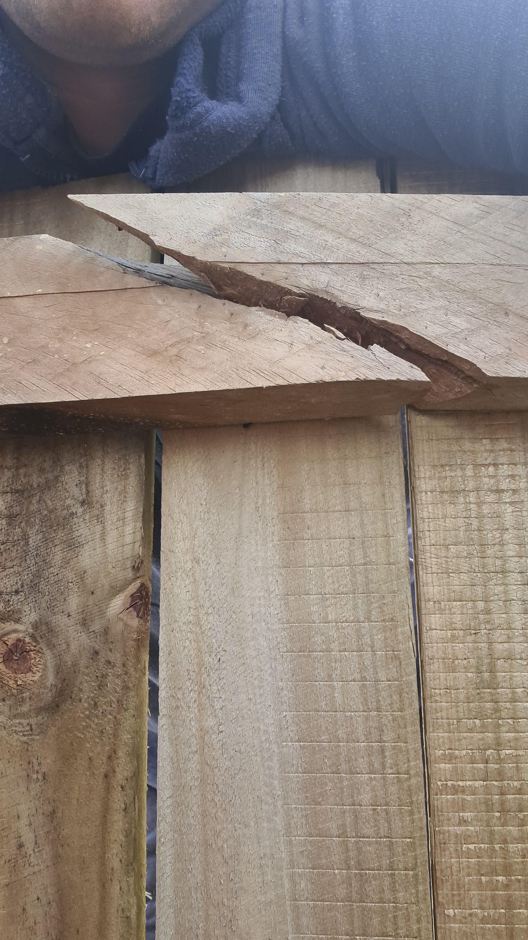 How to repair a broken fence panel? Bunnings community