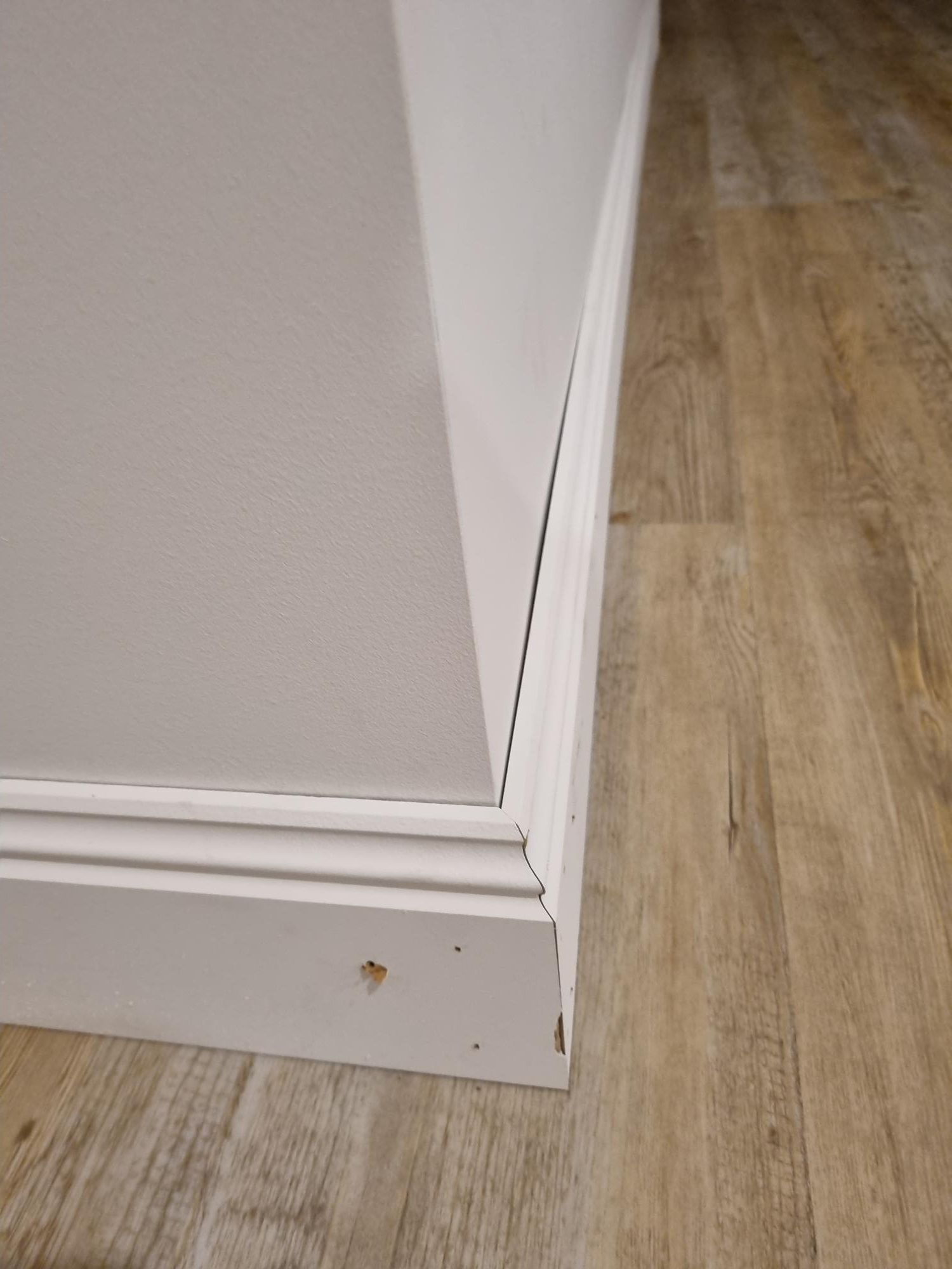 How to fill nail holes and gaps between Bunnings community