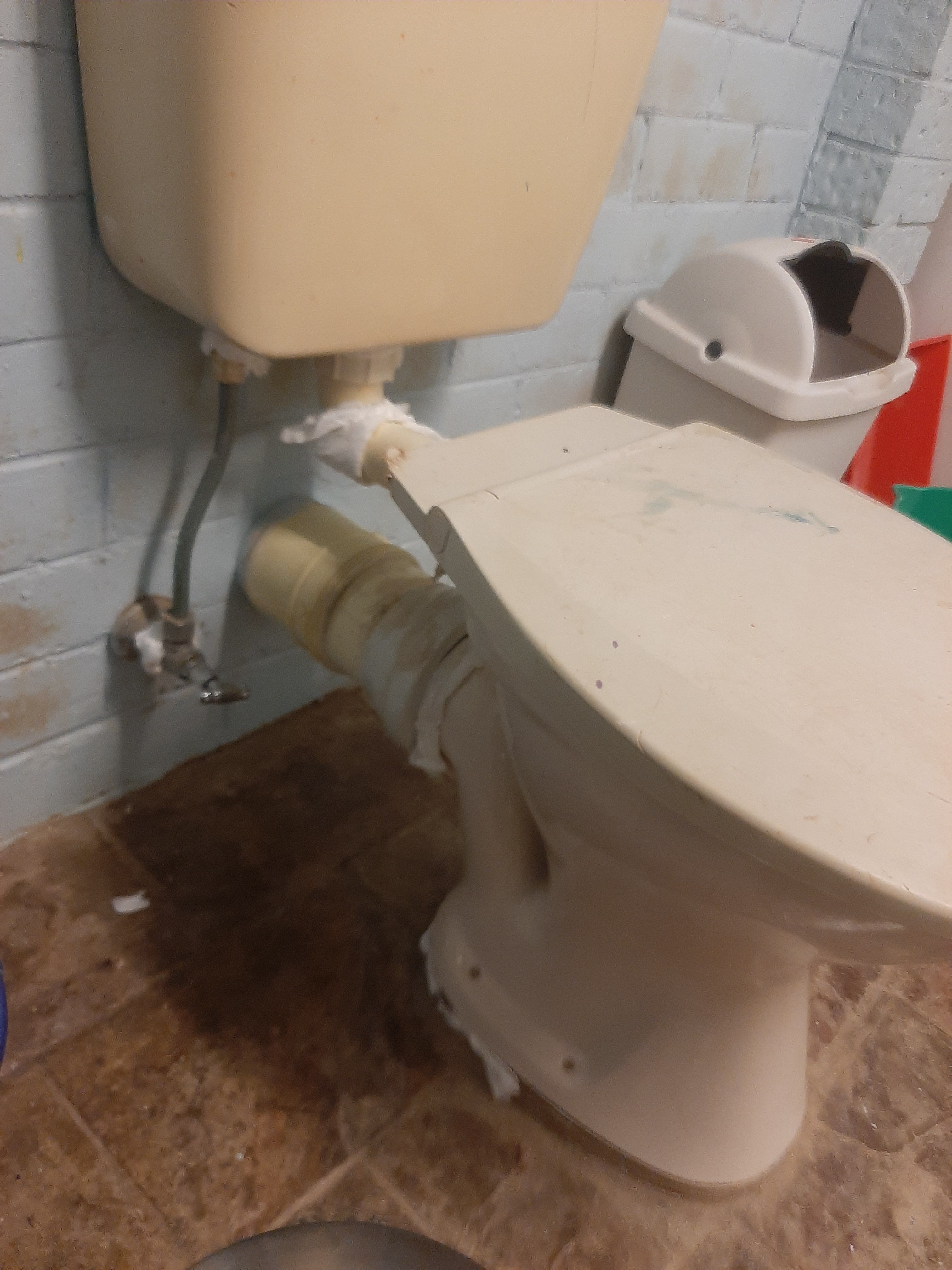 Solved How to replace Ptrap toilet? Bunnings community