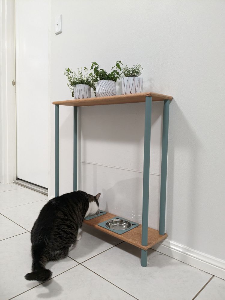 Cat feeding station complete.jpg
