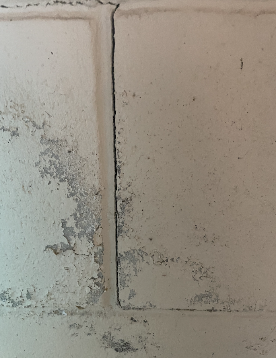 How to seal the cracks on brick work? Bunnings community