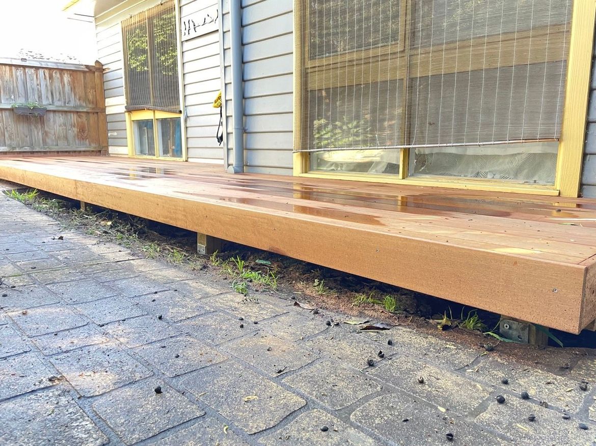 IMG_0332 2 Large.jpeg