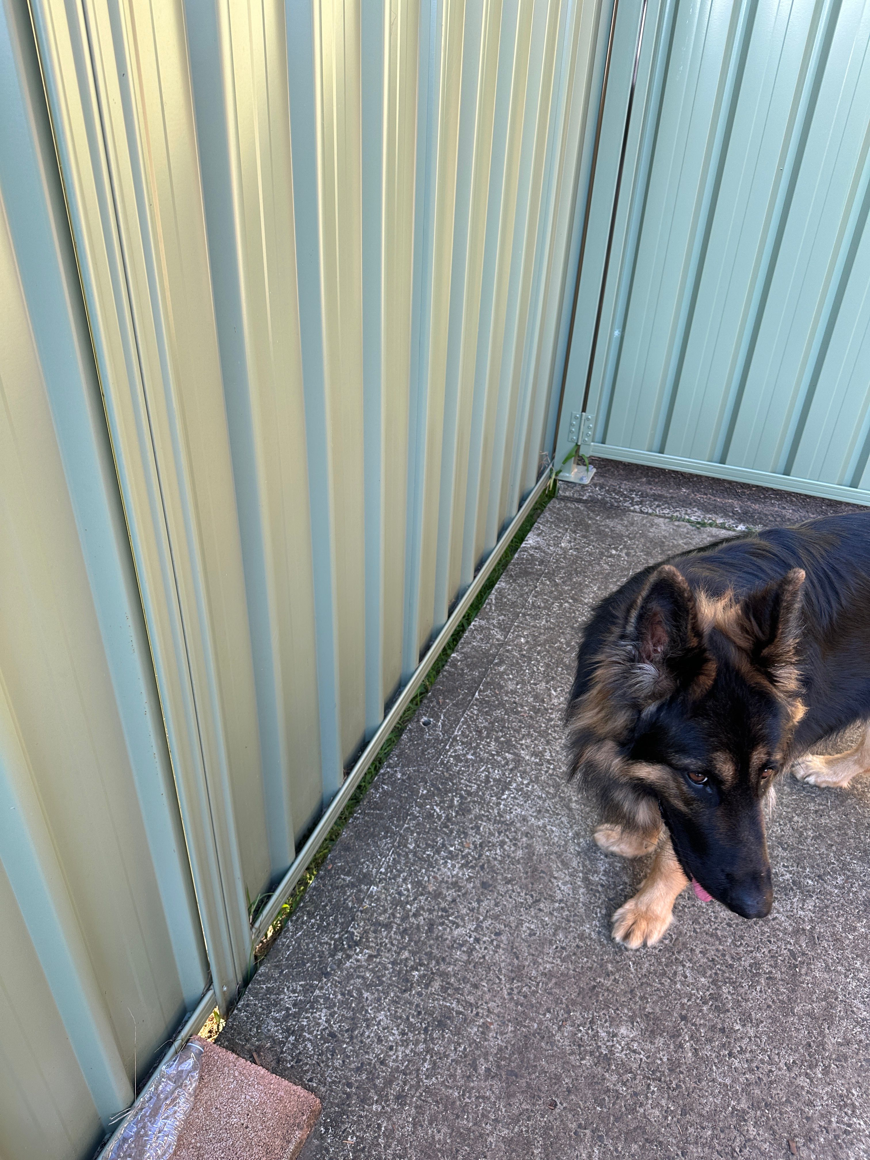 How to fill gap under boundary fence? Bunnings community