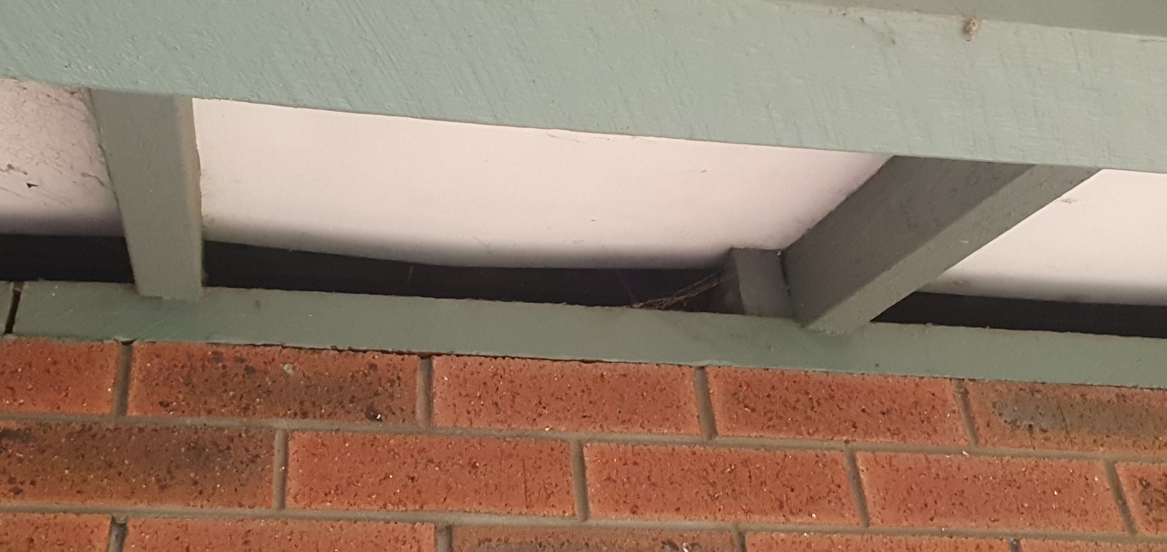 How to seal gaps under eaves? Bunnings community