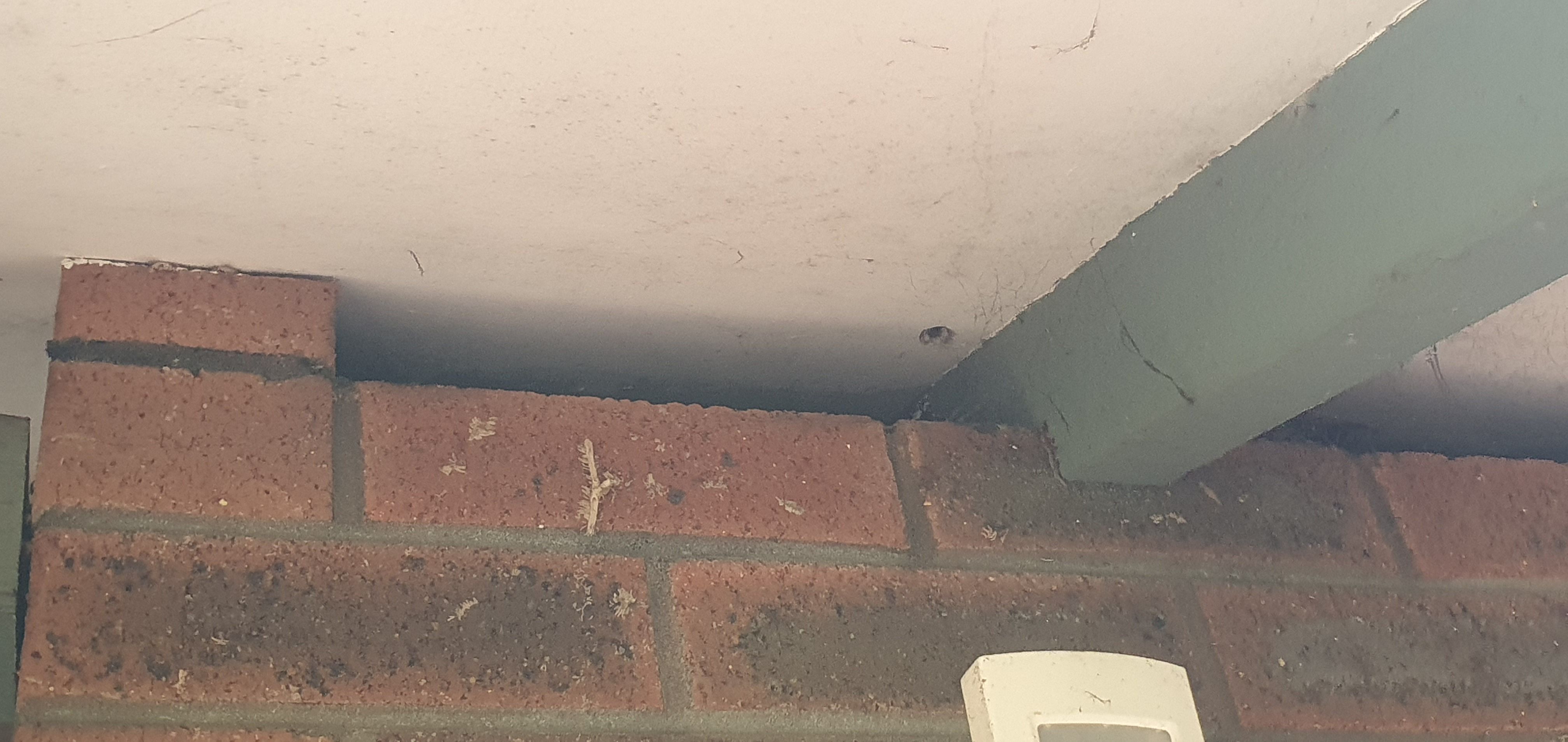 How to seal gaps under eaves? Bunnings community