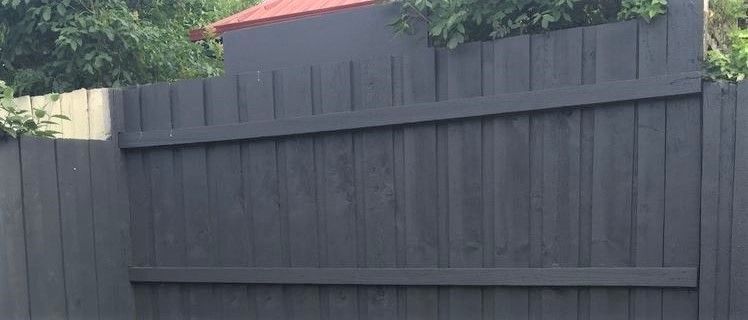 Spray painted fence.jpeg