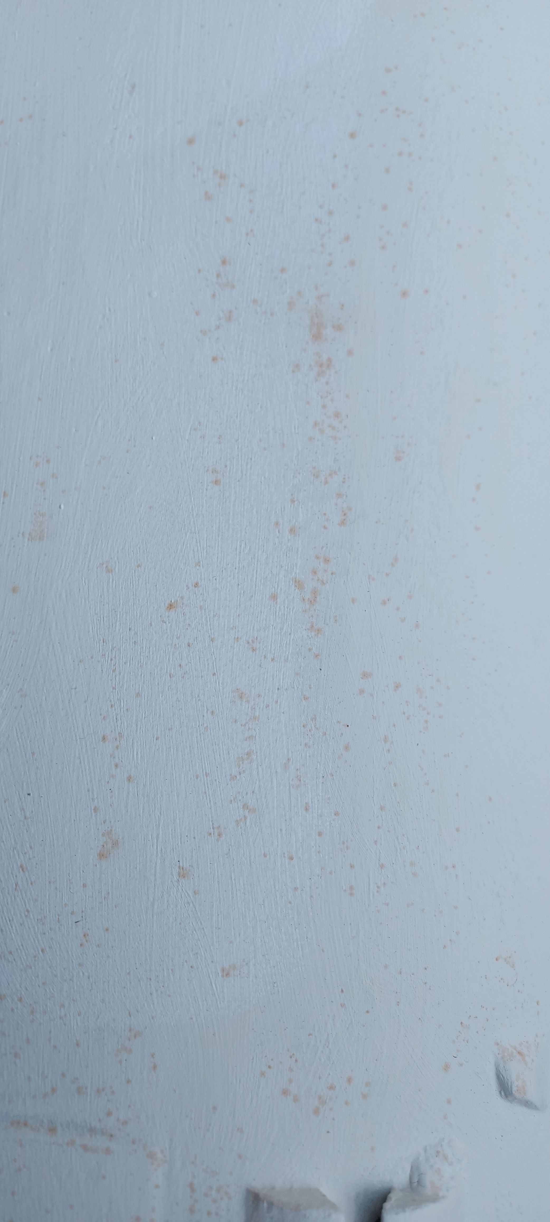 How to paint a rusted cast iron bath? Bunnings community