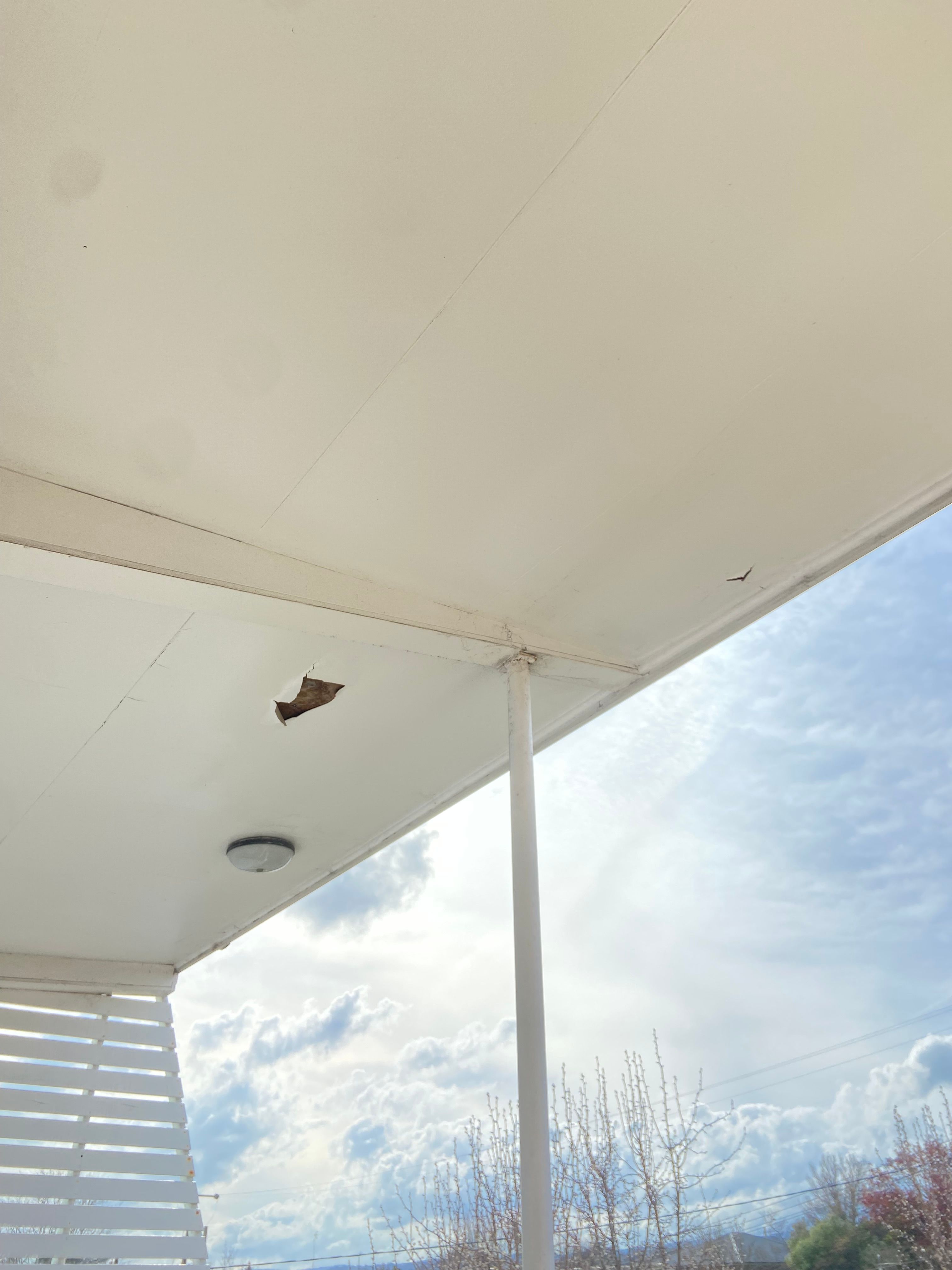 How to remove peeling paint and repaint Bunnings community