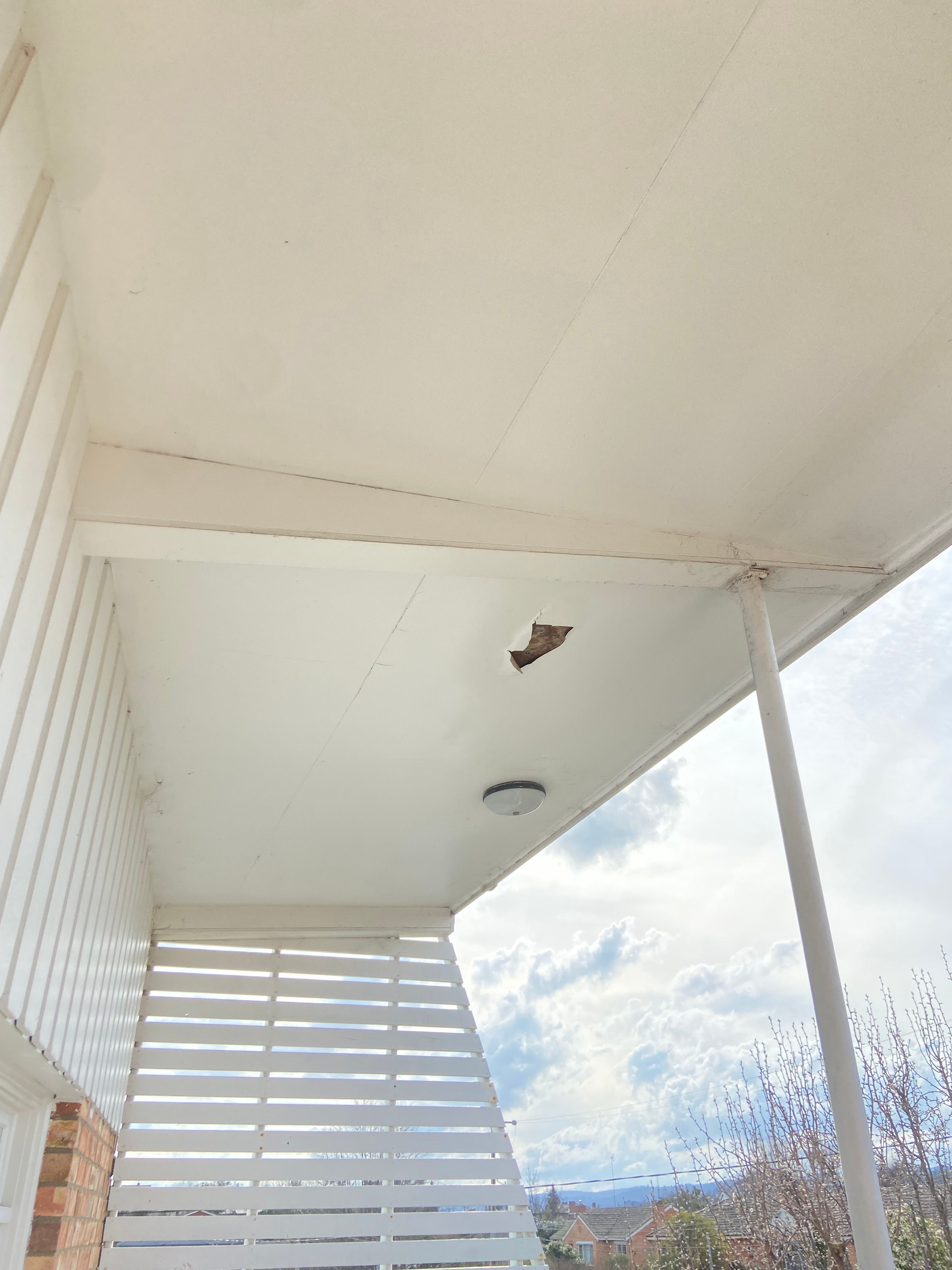 How to remove peeling paint and repaint Bunnings community