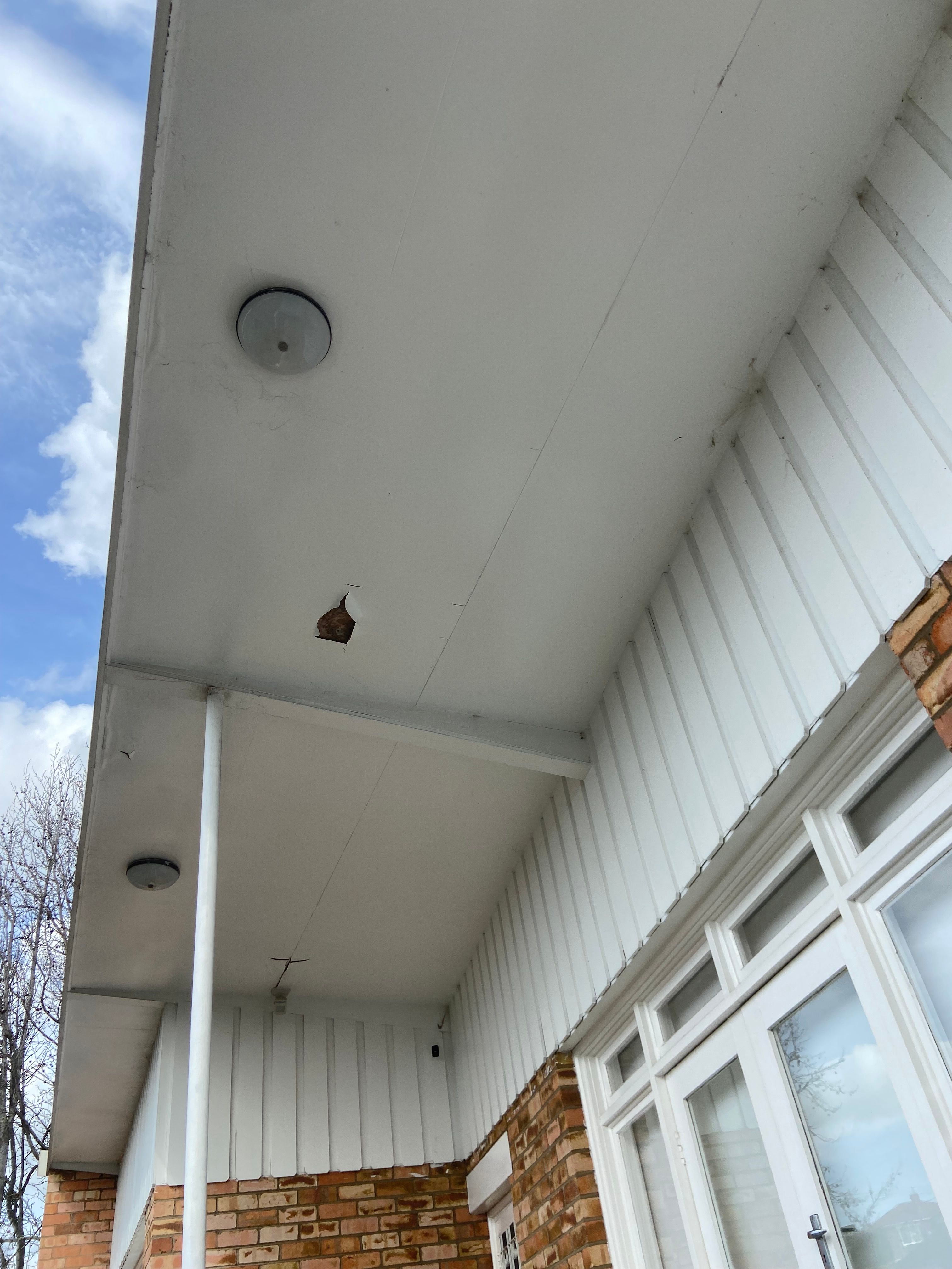 How to remove peeling paint and repaint Bunnings community